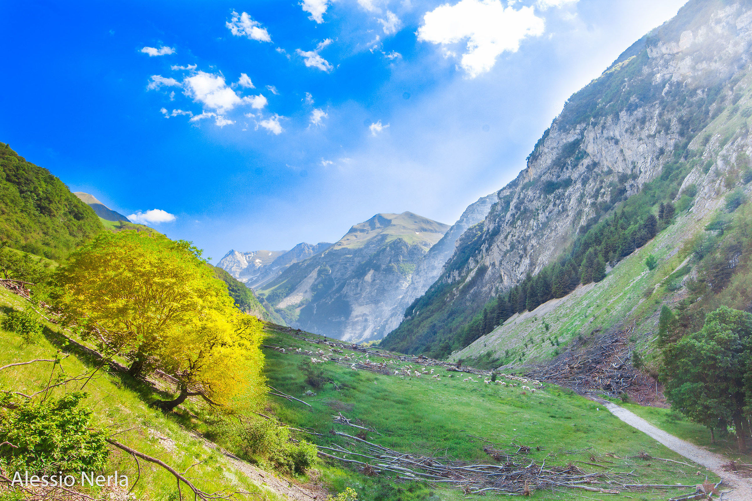 Monte Vettore visto da Foce di Montemonaco