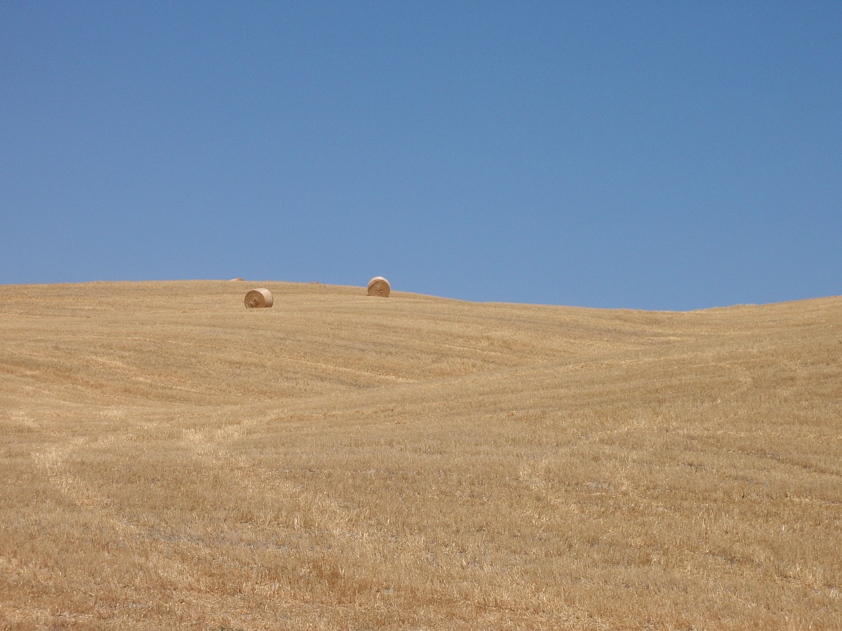 dolci colline toscane