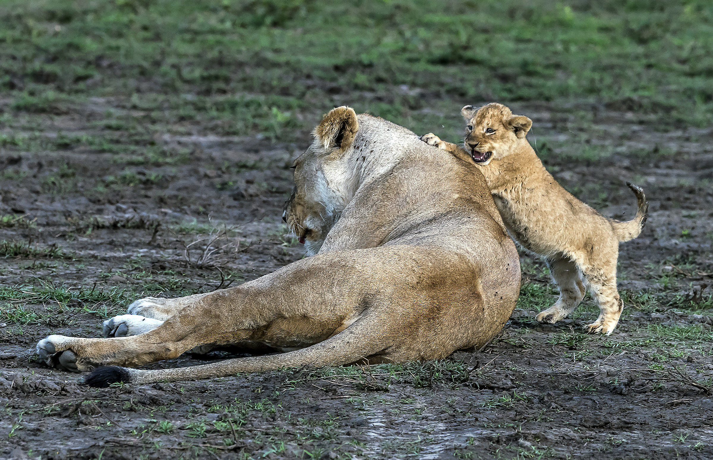 Tanzania 2017 - Giochi in famiglia