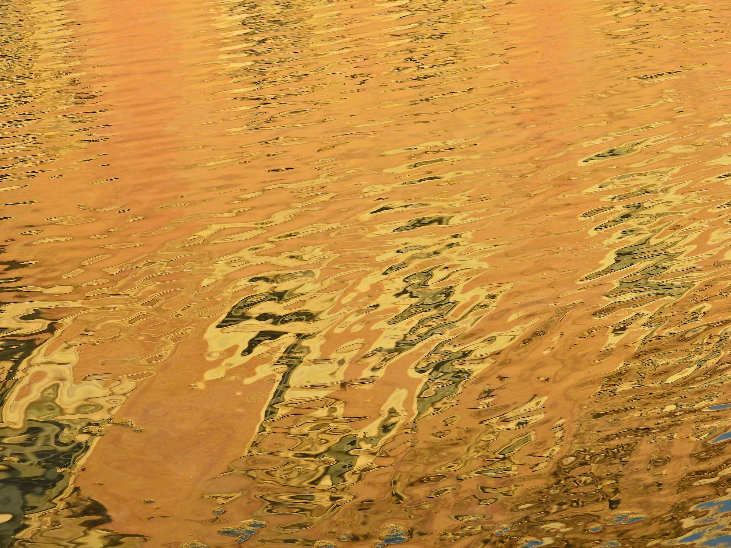 Reflections in Piazza Roma