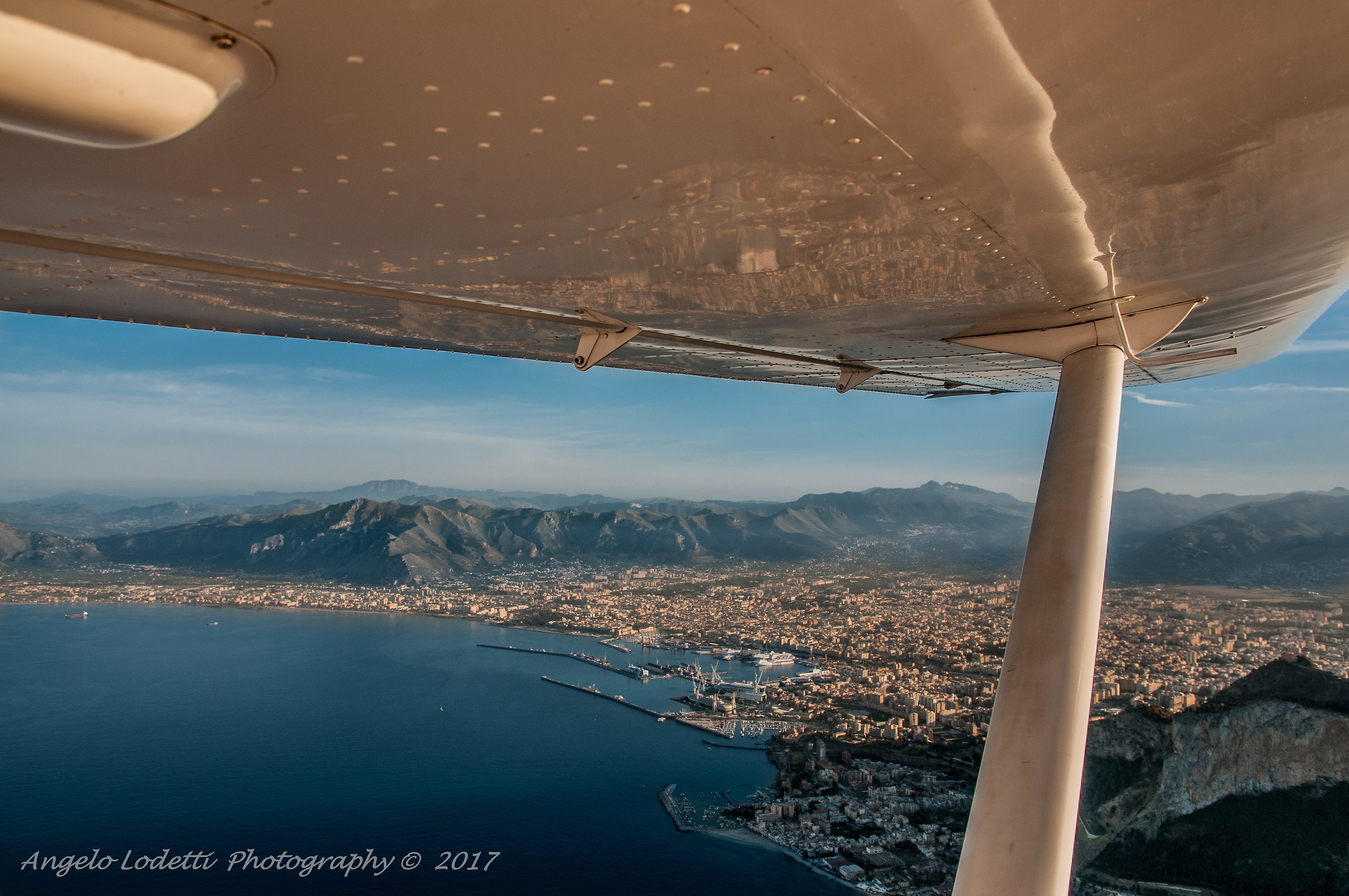 Palermo under the wing