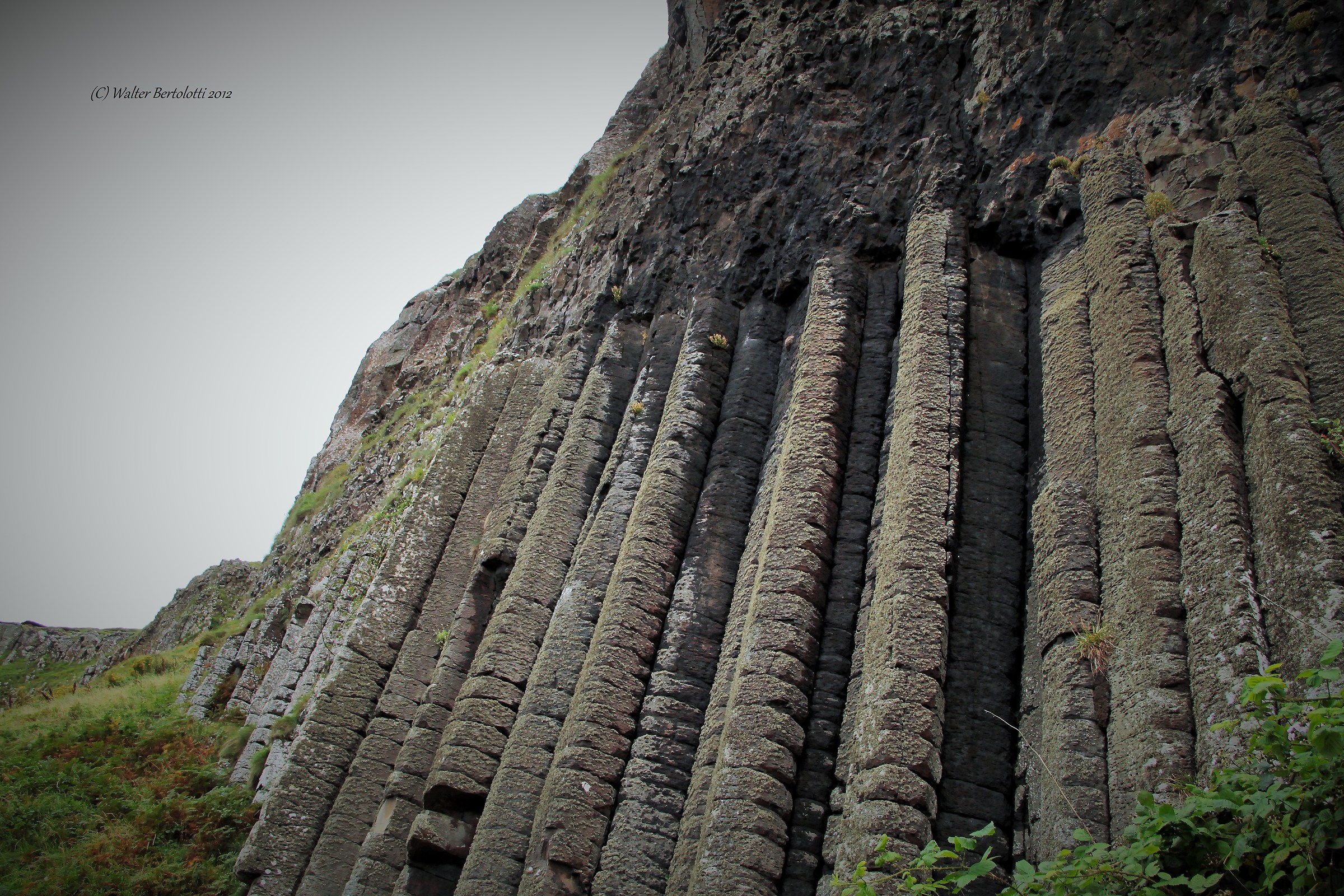 Giant coast - the organ