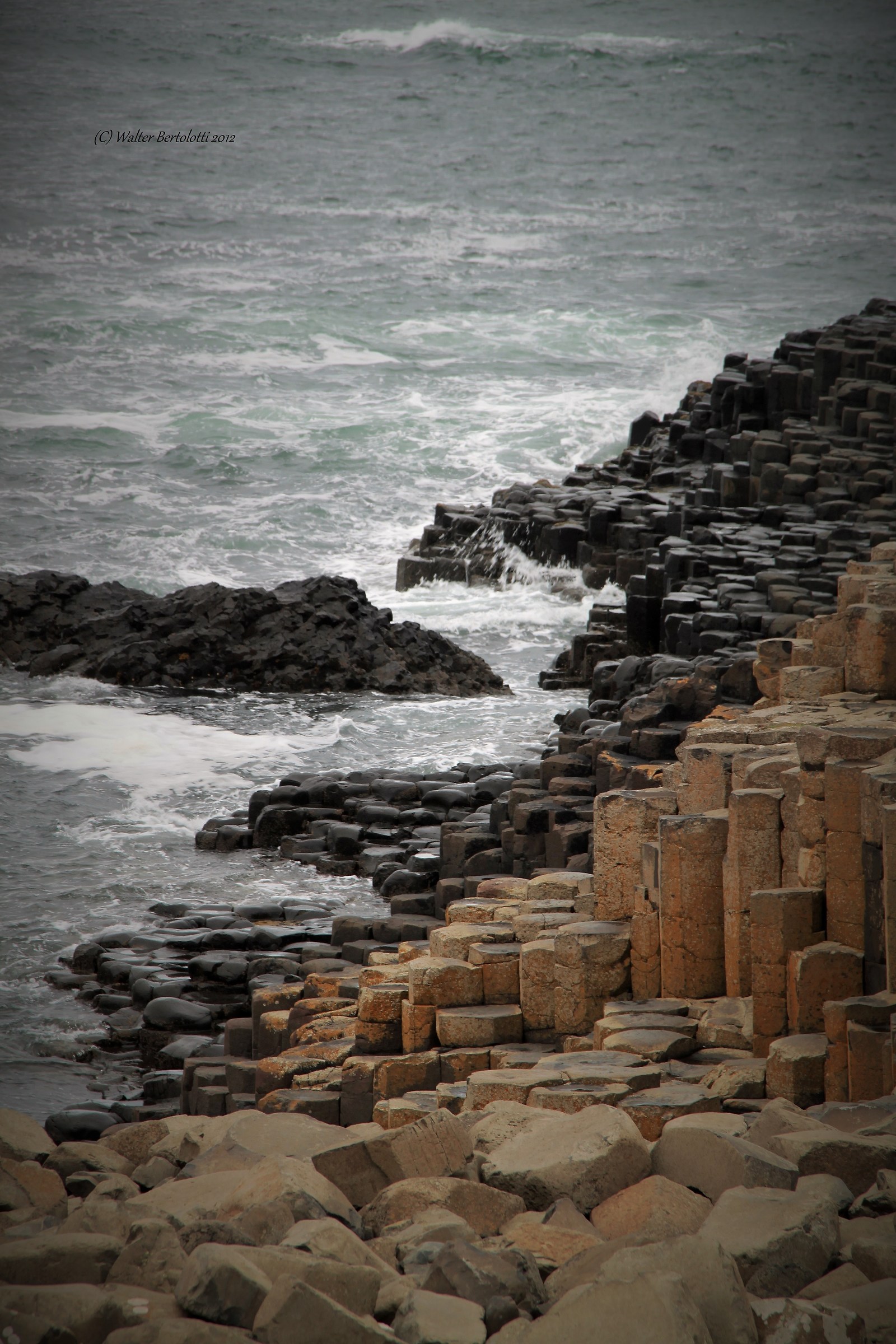 Giant coast - the way