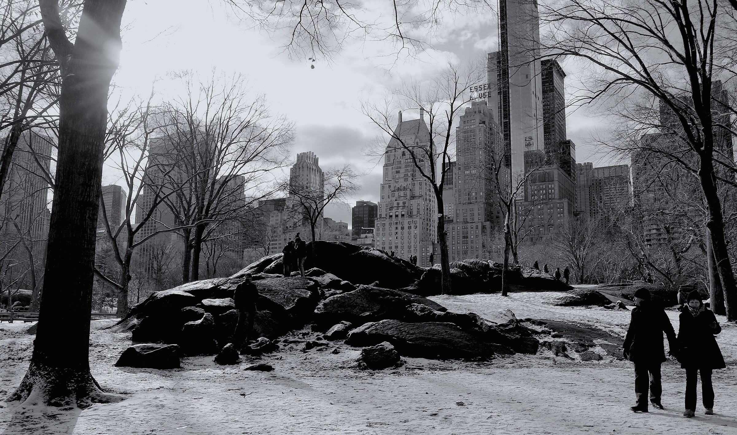 Cold in Central Park