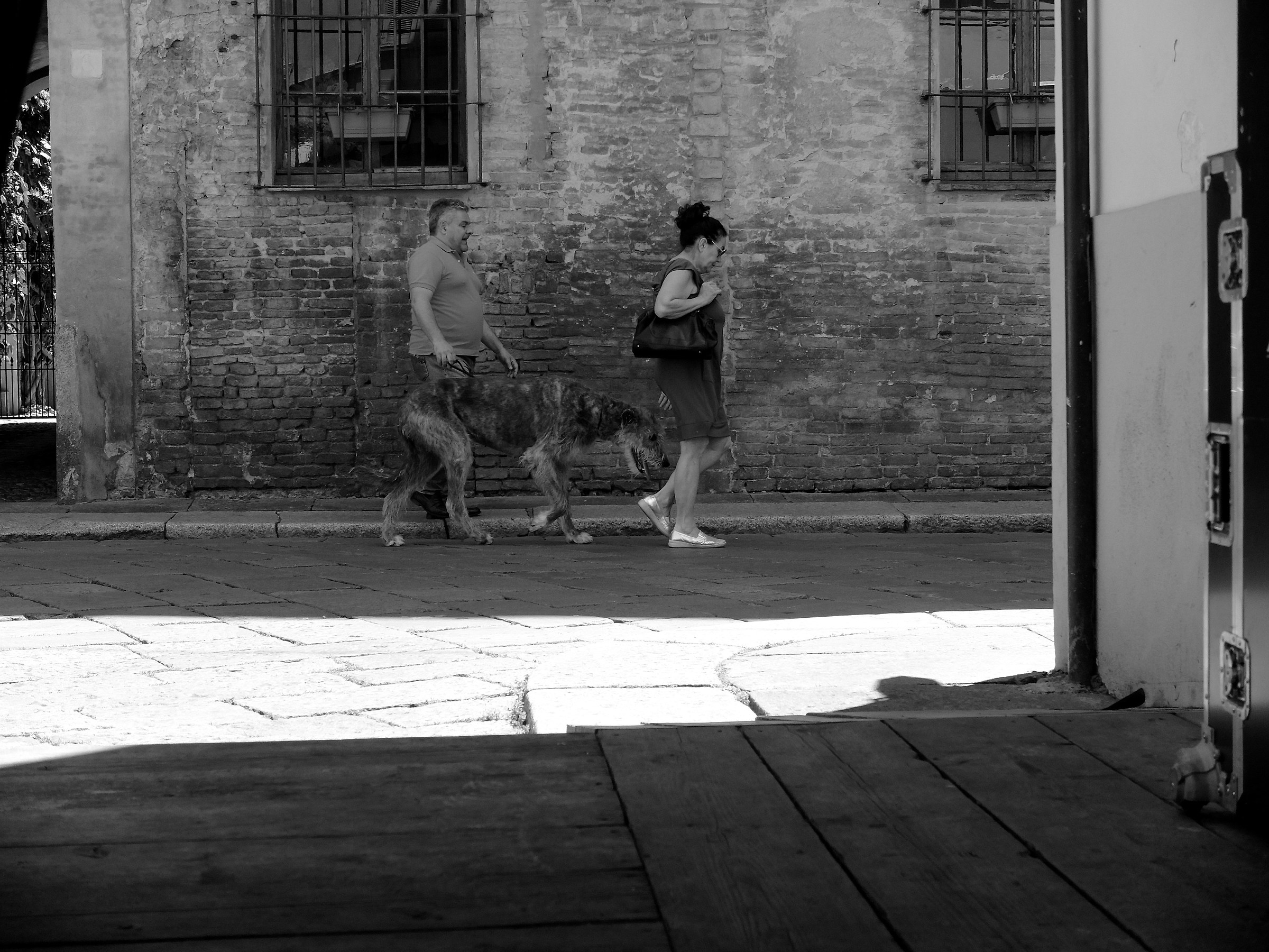 The Baskerville mastiff