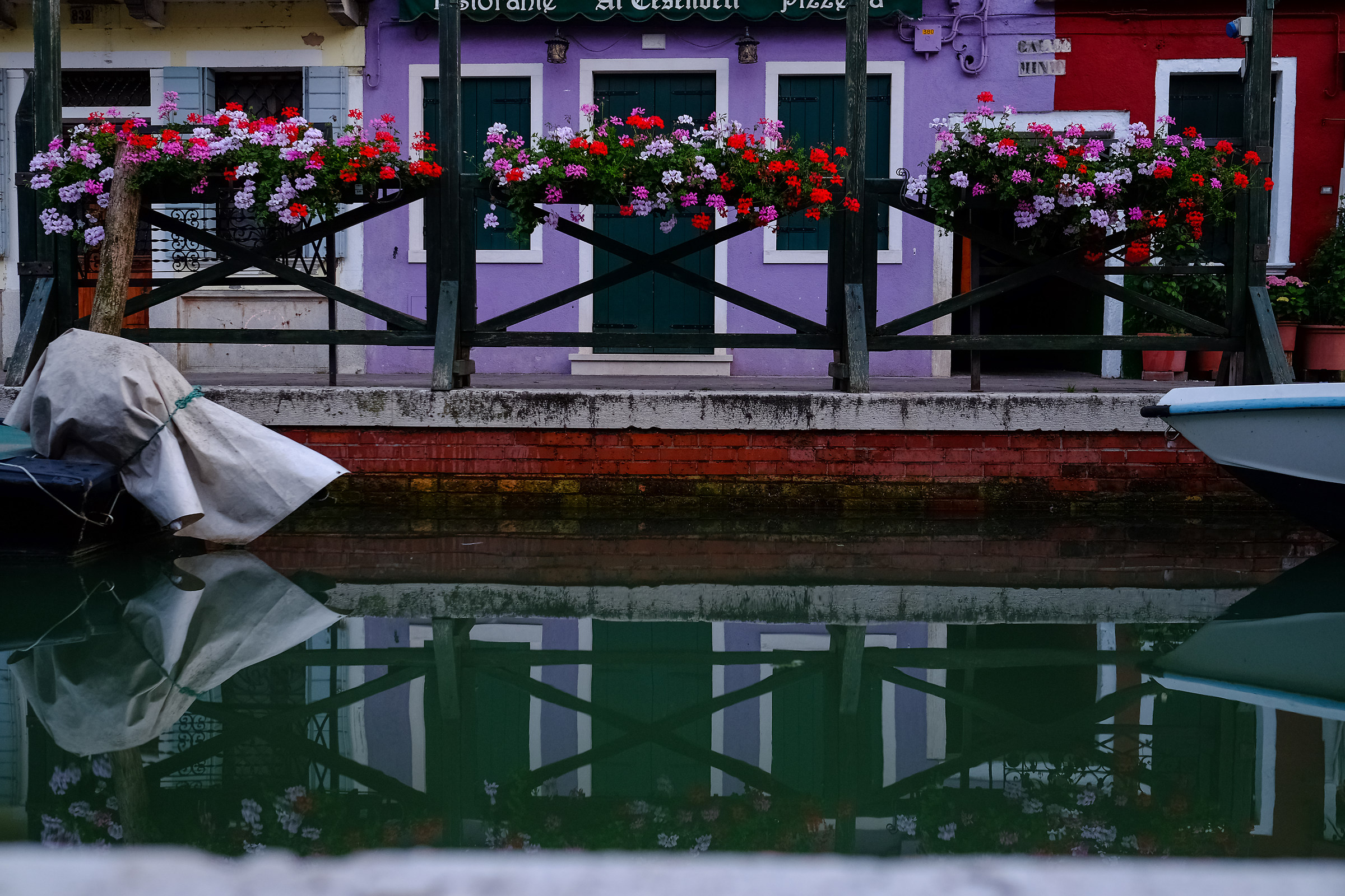 Flowers Reflections Colors