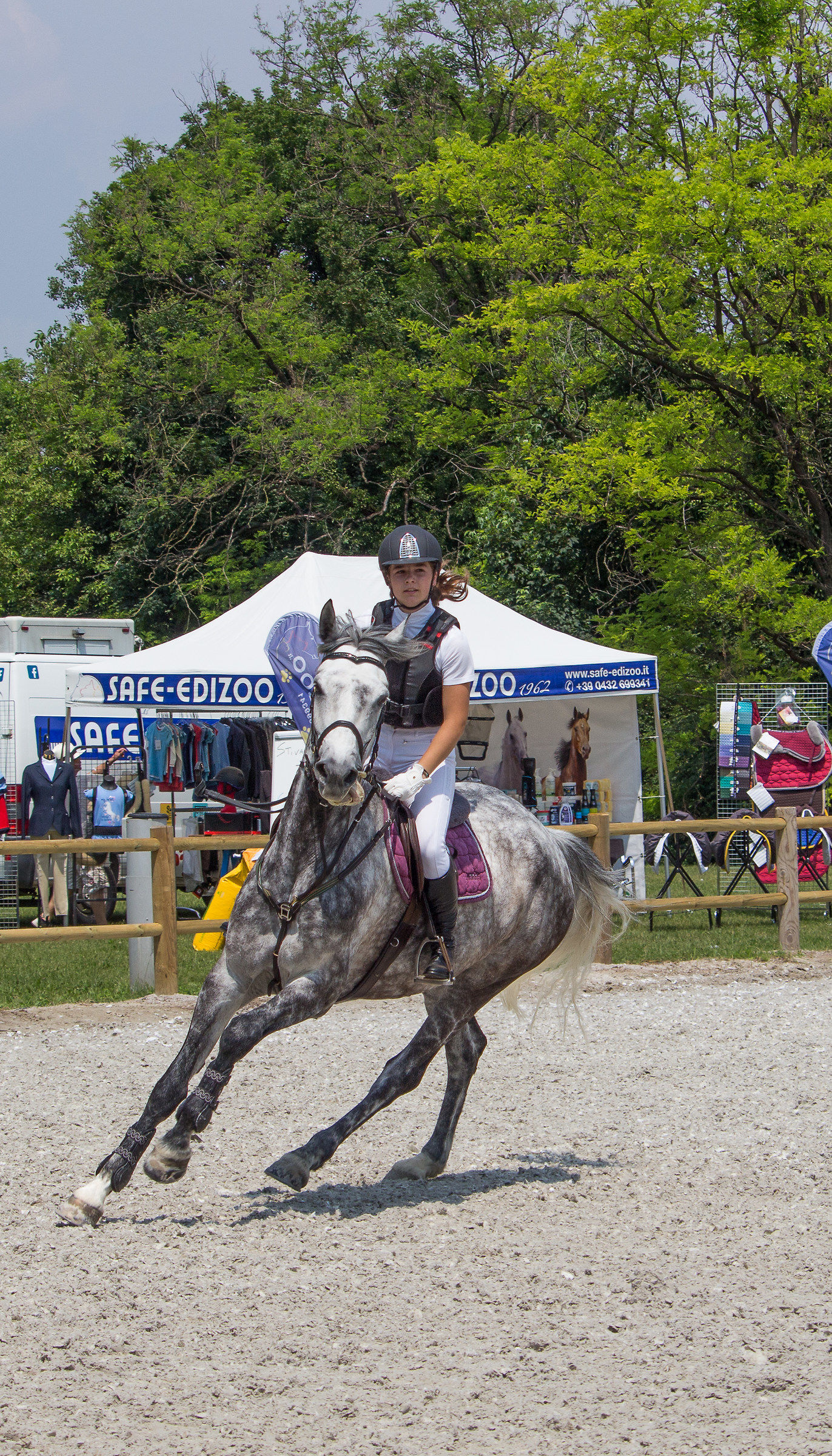 CircoloIppicoFriulano...Campionato Regionale