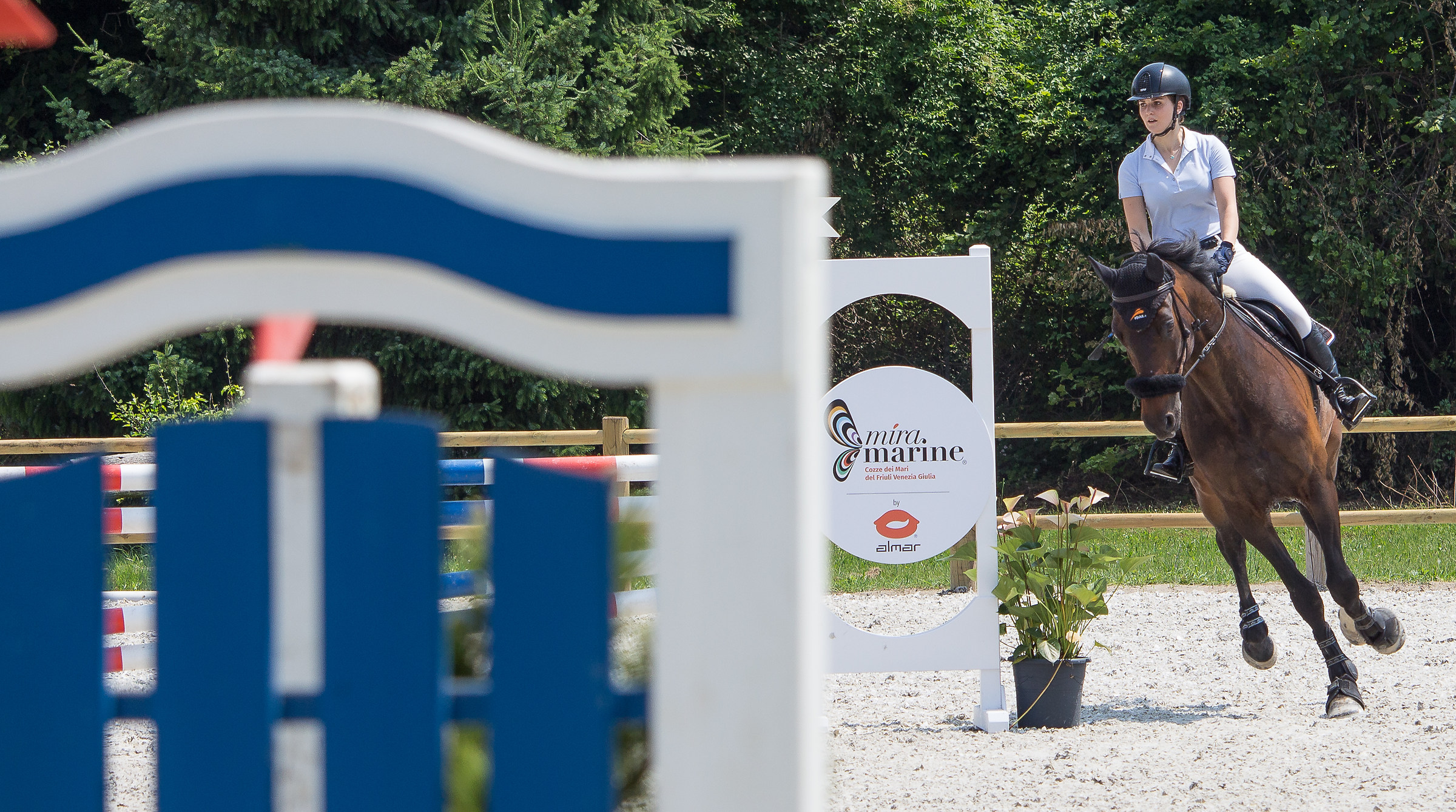 CircoloIppicoFriulano ... Regional Championship