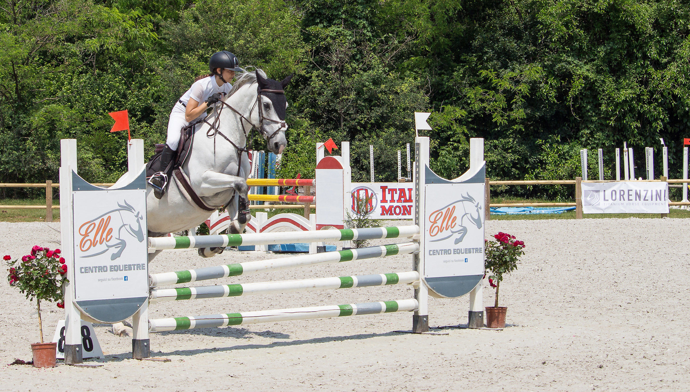 CircoloIppicoFriulano...Campionato Regionale