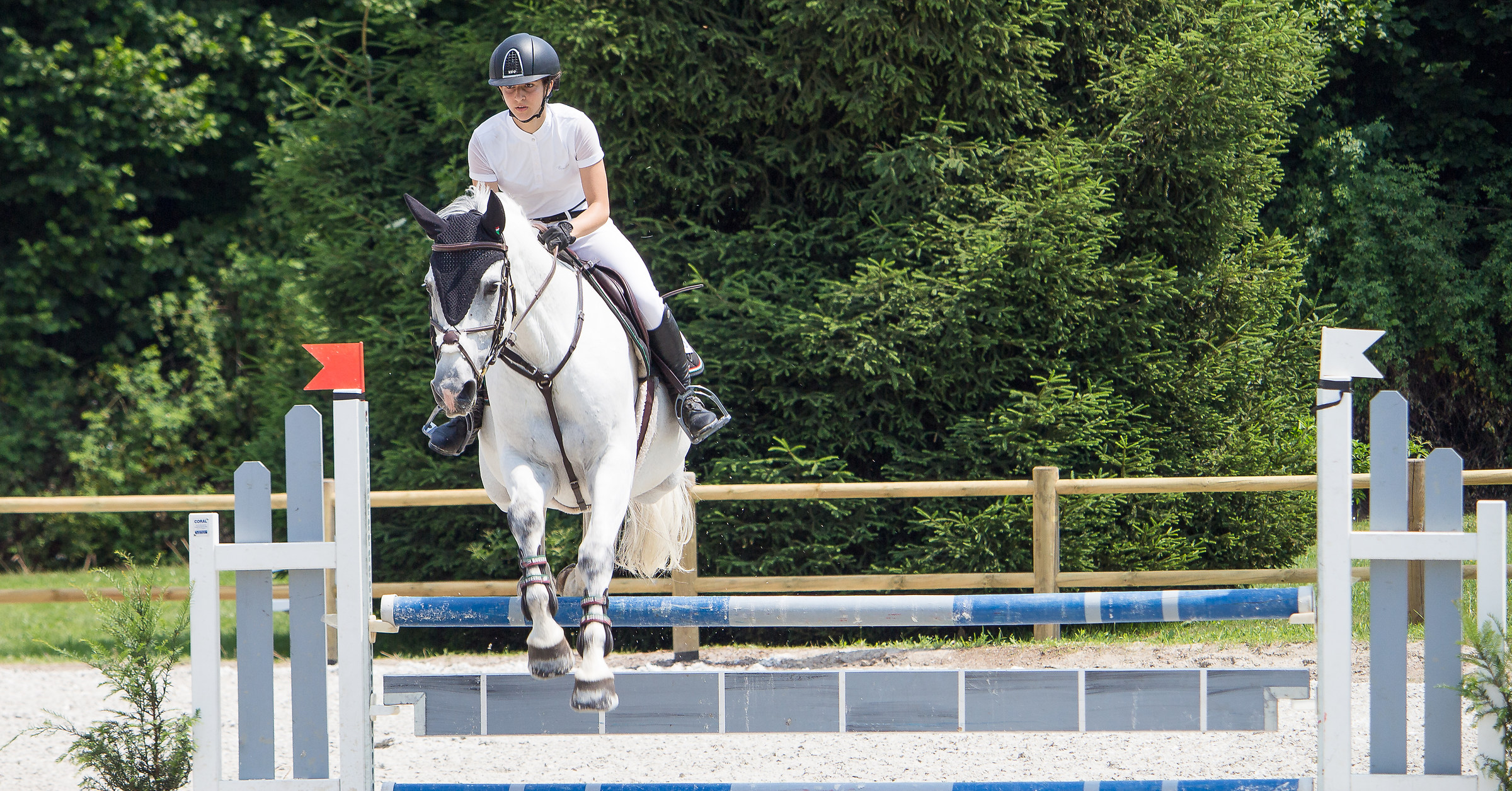 CircoloIppicoFriulano ... Regional Championship