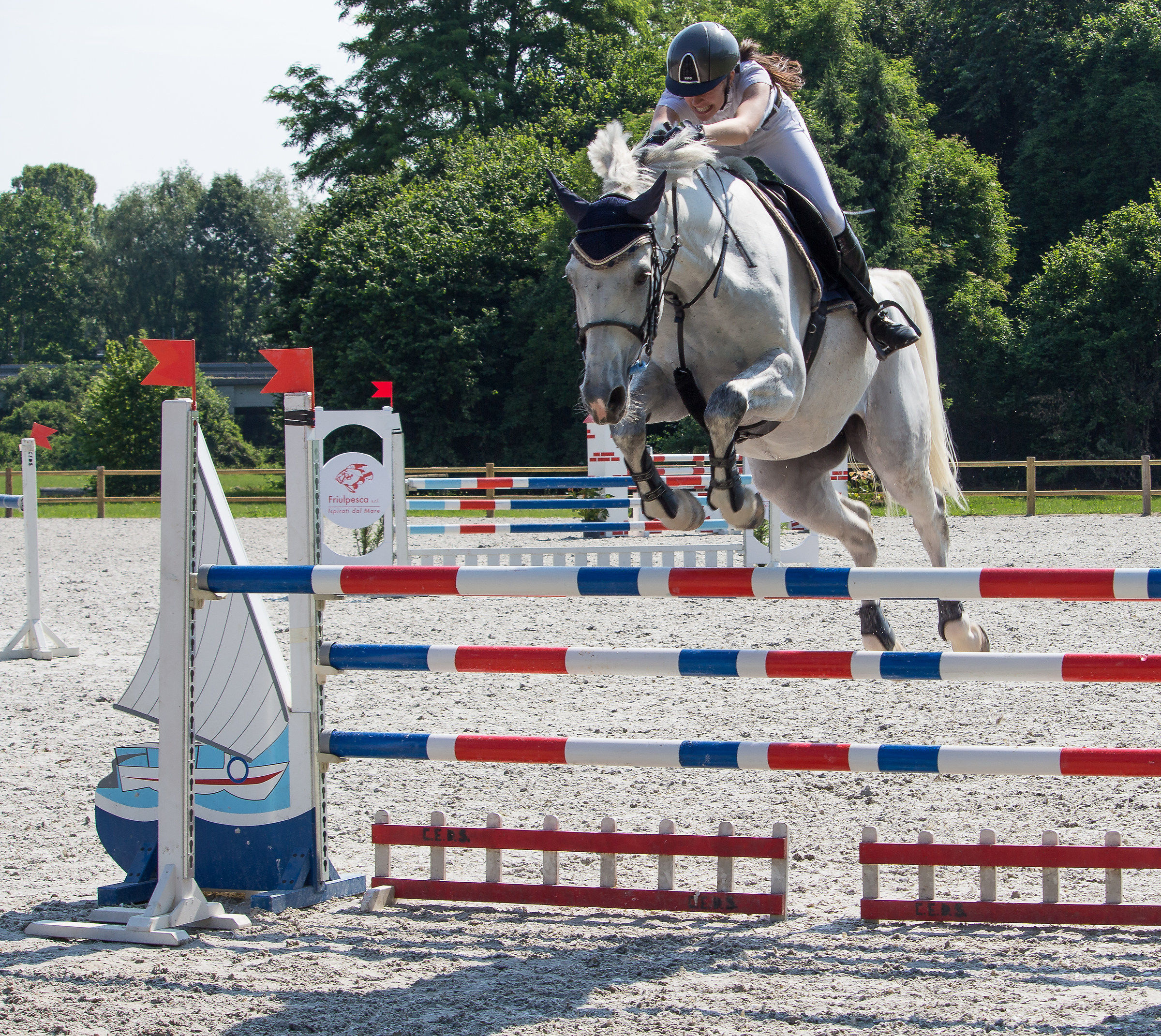 CircoloIppicoFriulano...Campionato Regionale