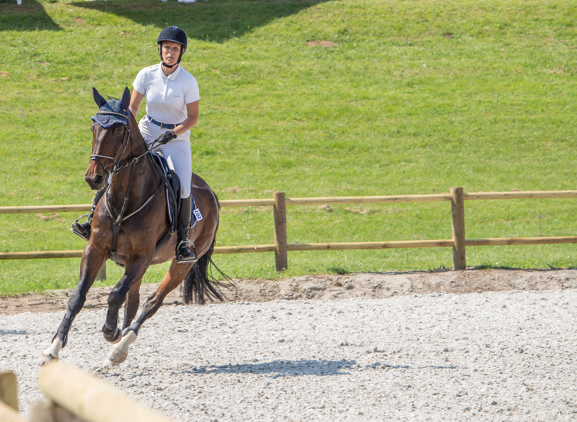 CircoloIppicoFriulano...Campionato Regionale