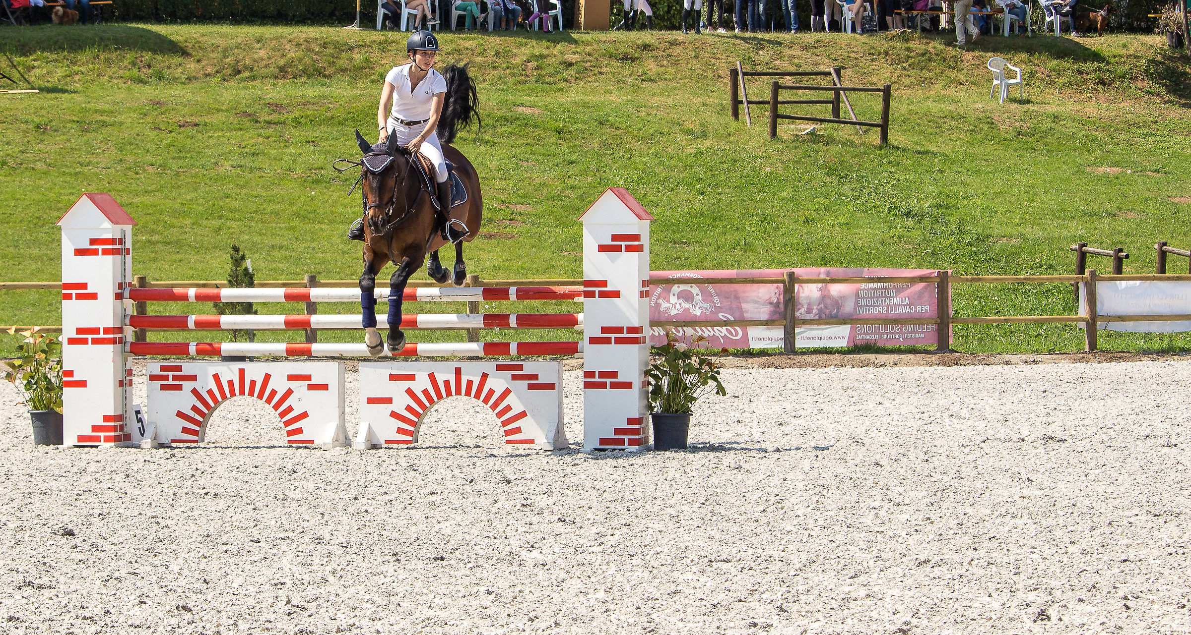 CircoloIppicoFriulano...Campionato Regionale