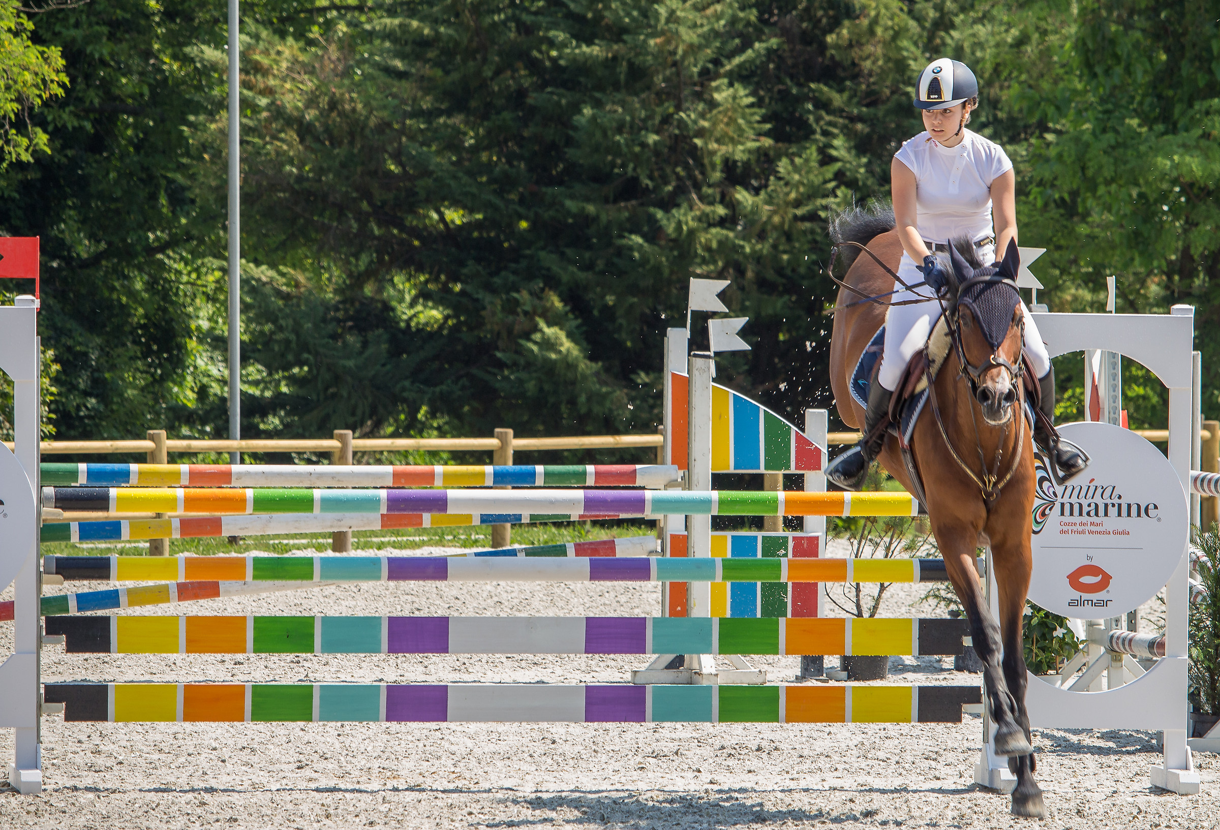 CircoloIppicoFriulano...Campionato Regionale