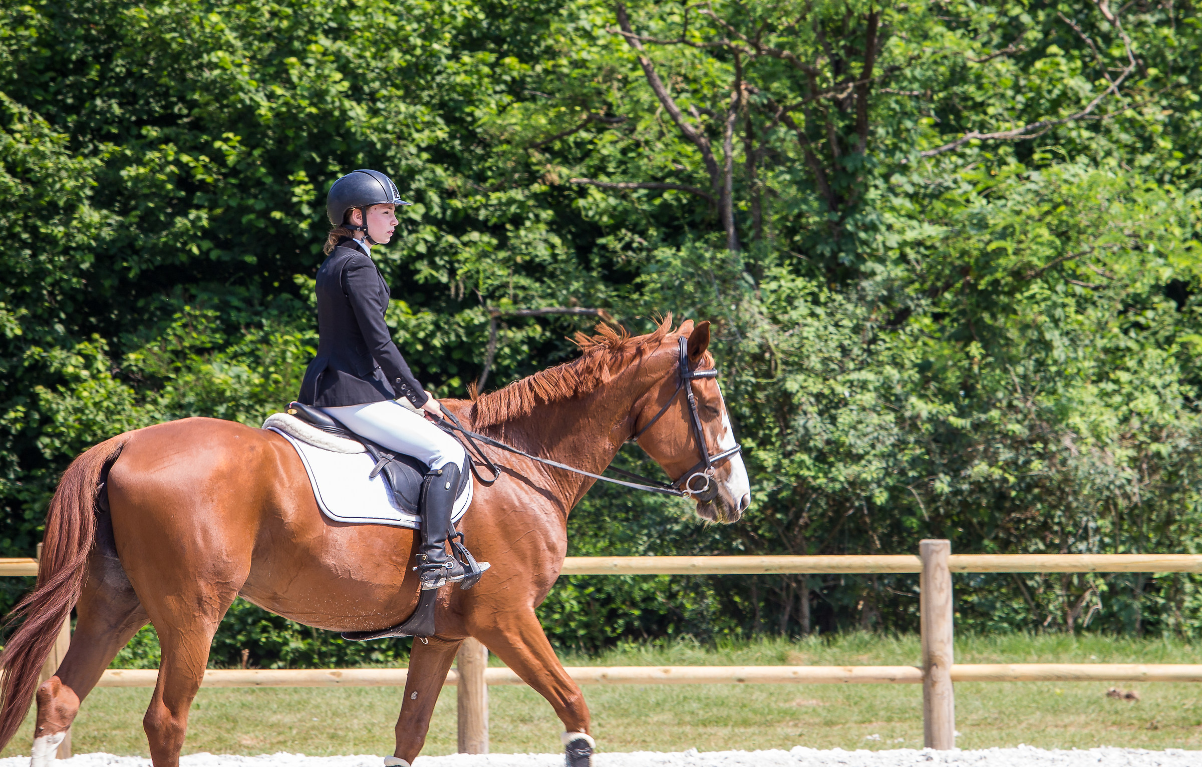CircoloIppicoFriulano...Campionato Regionale