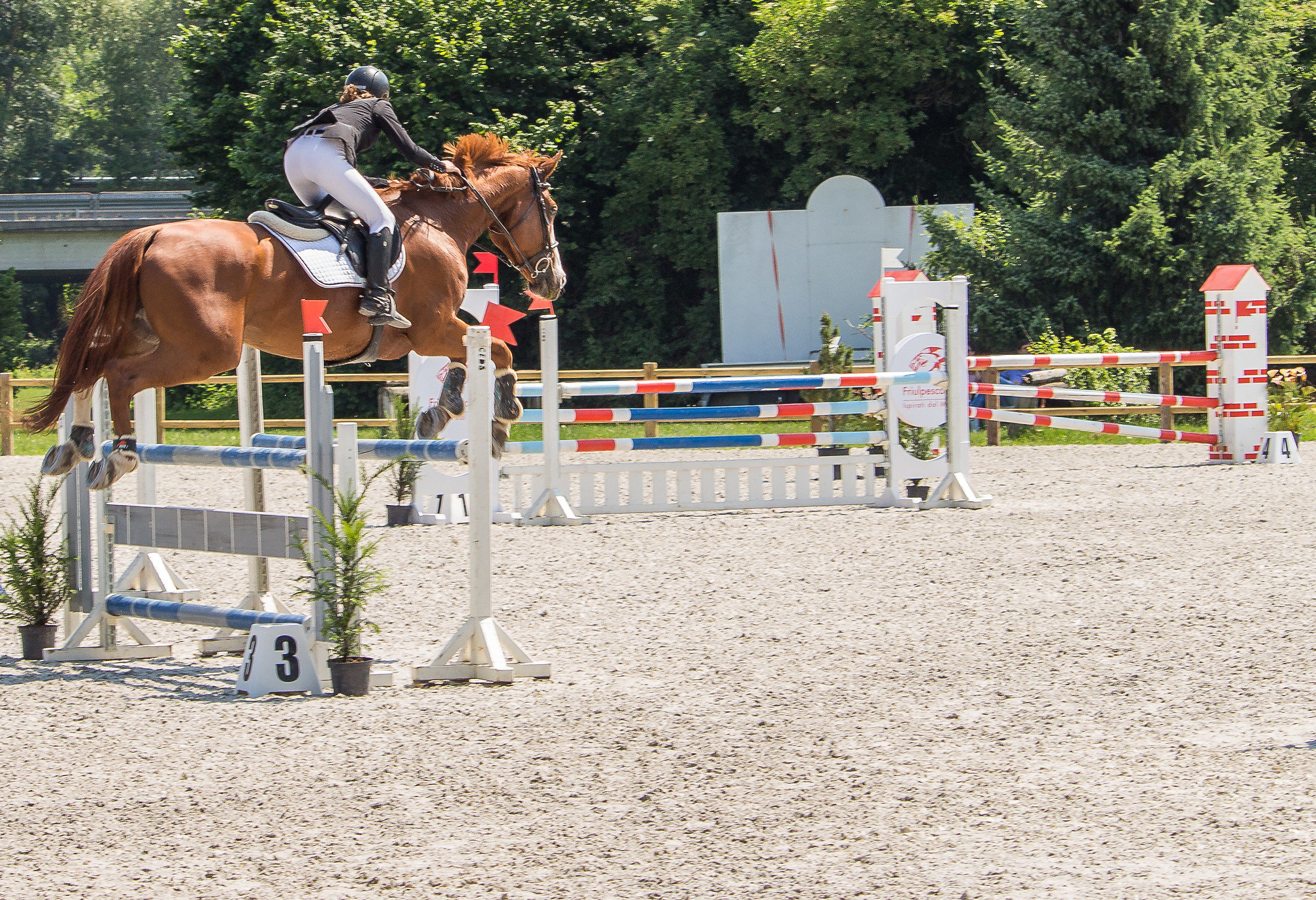 CircoloIppicoFriulano...Campionato Regionale