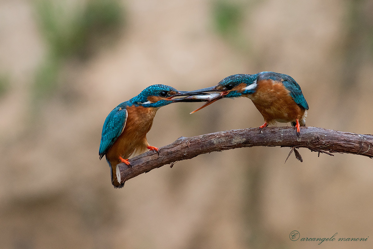 Il doveroso omaggio alla signora martina