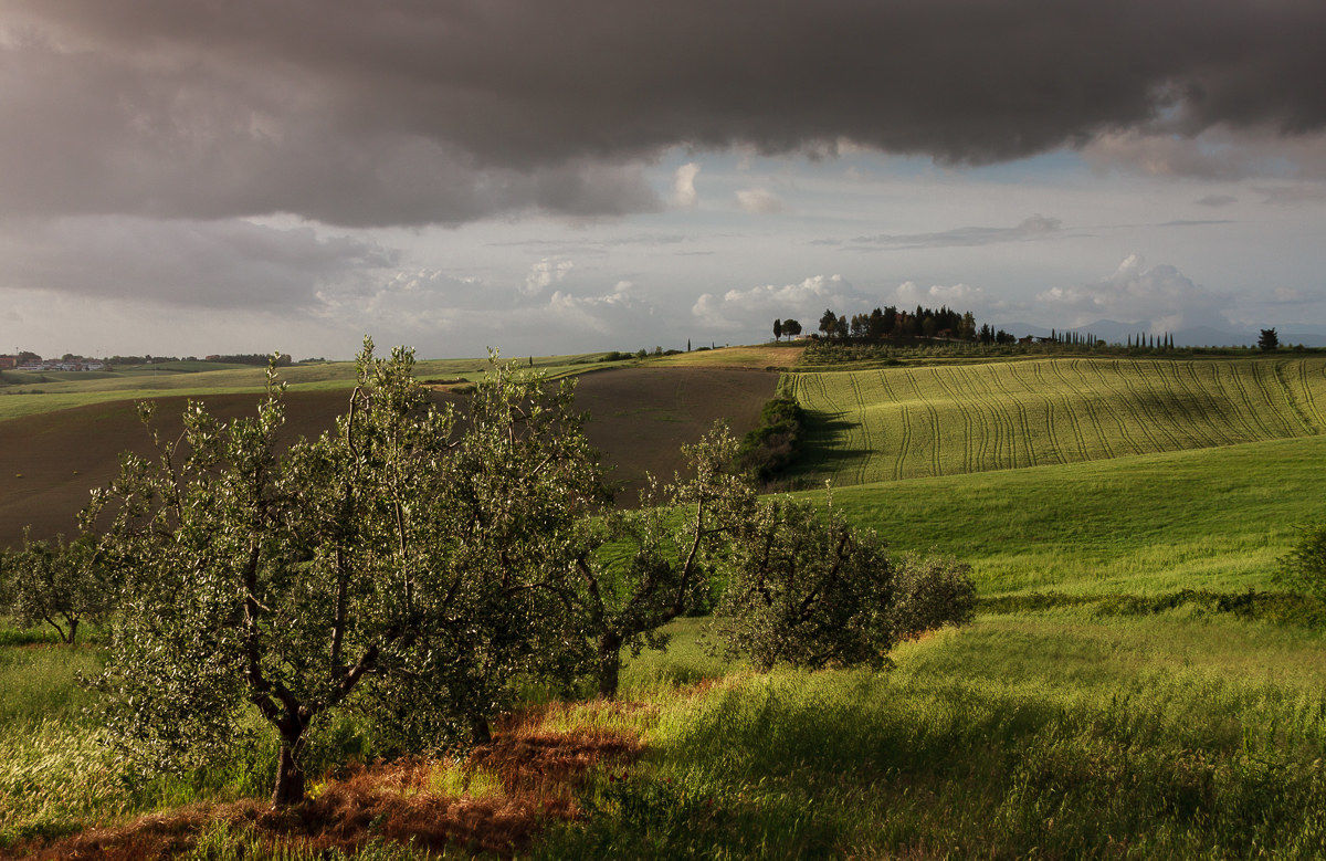 Afternoon in the Maremma Pisana