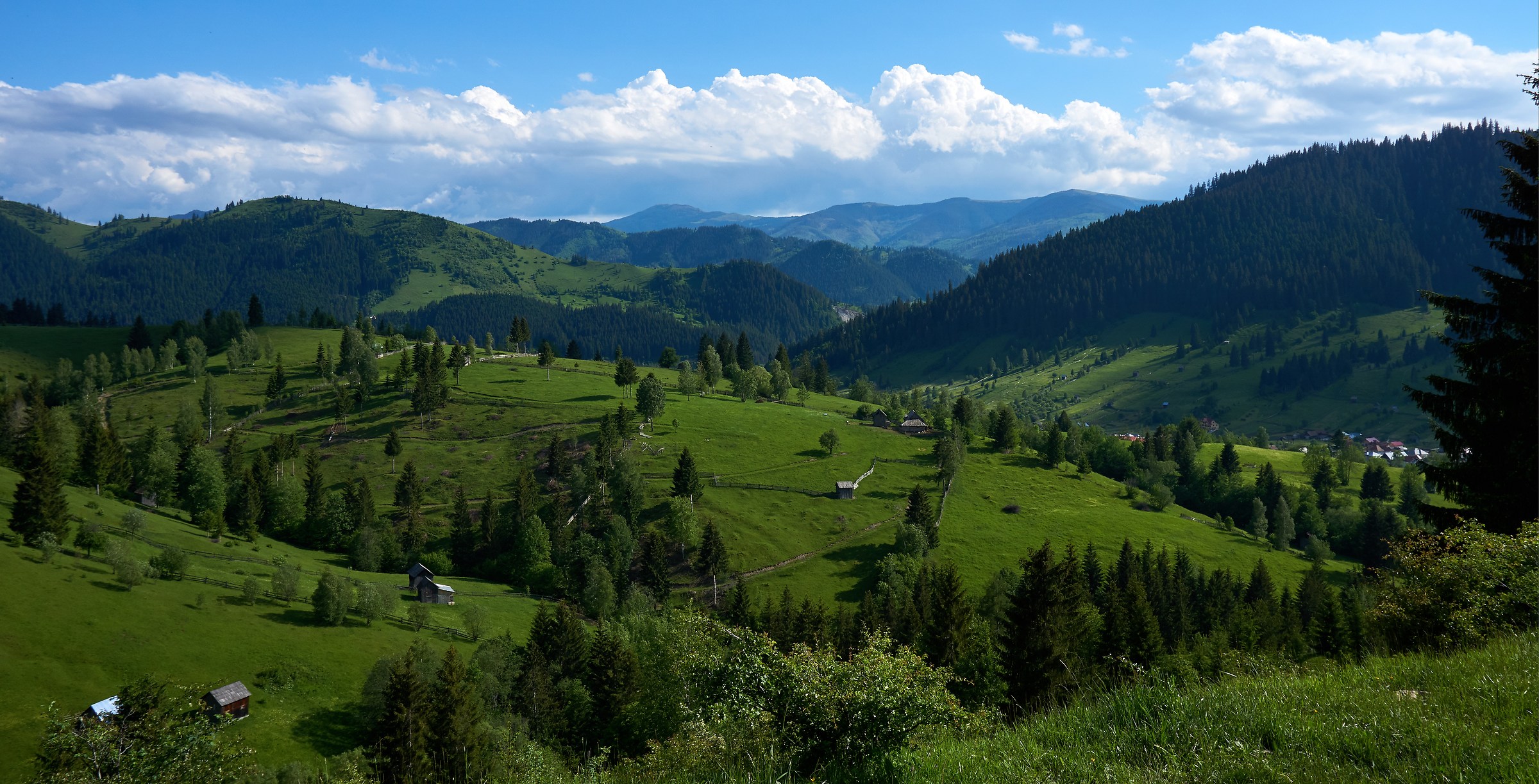 Bucovina