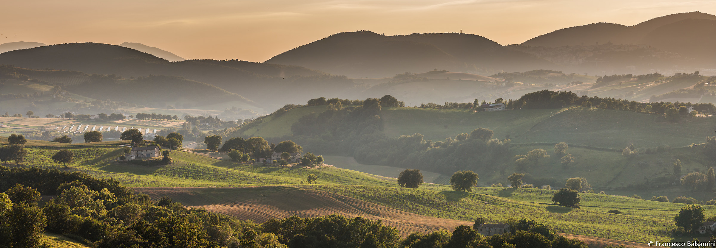 Campagna Marchigiana