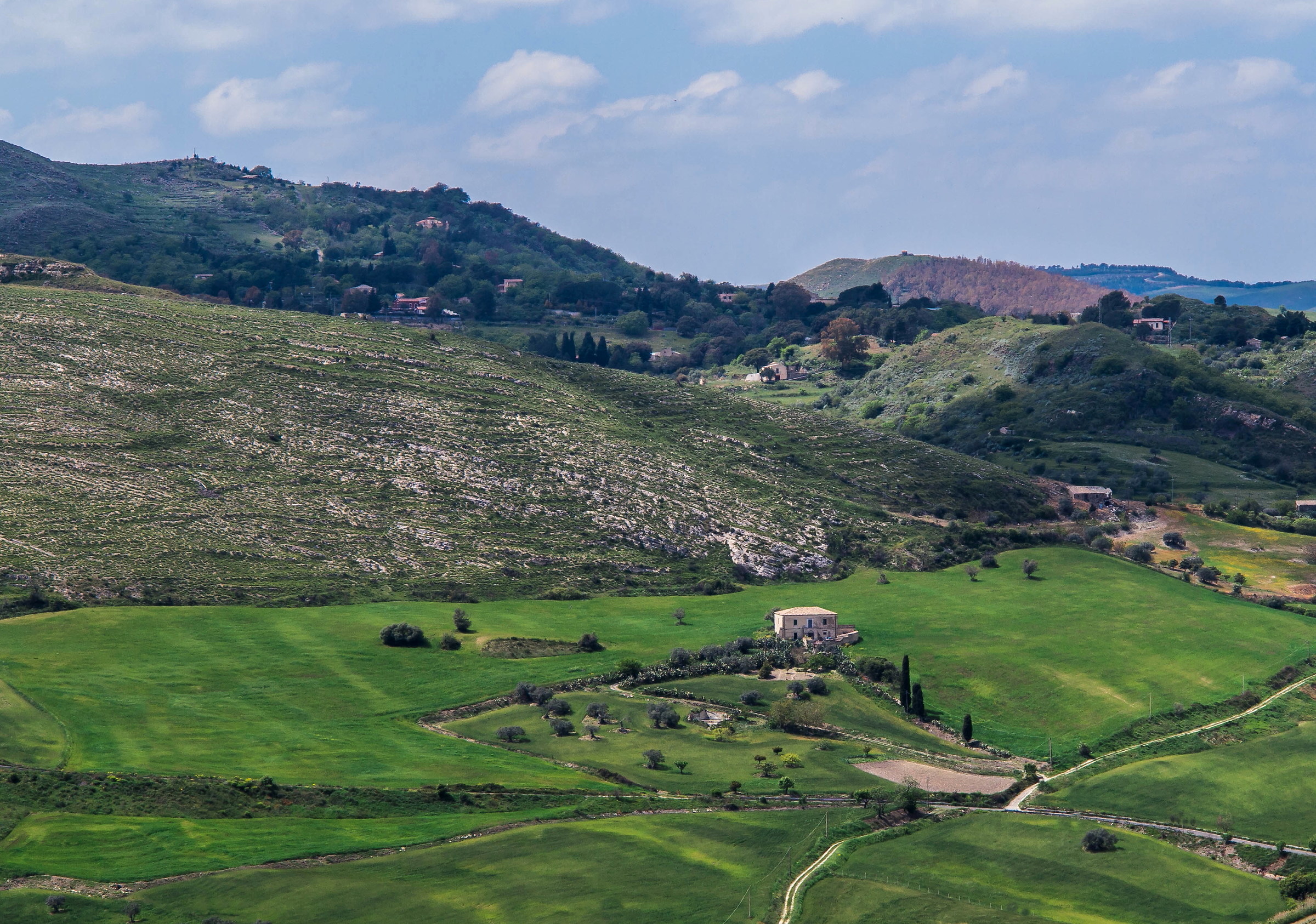 In mezzo al verde...