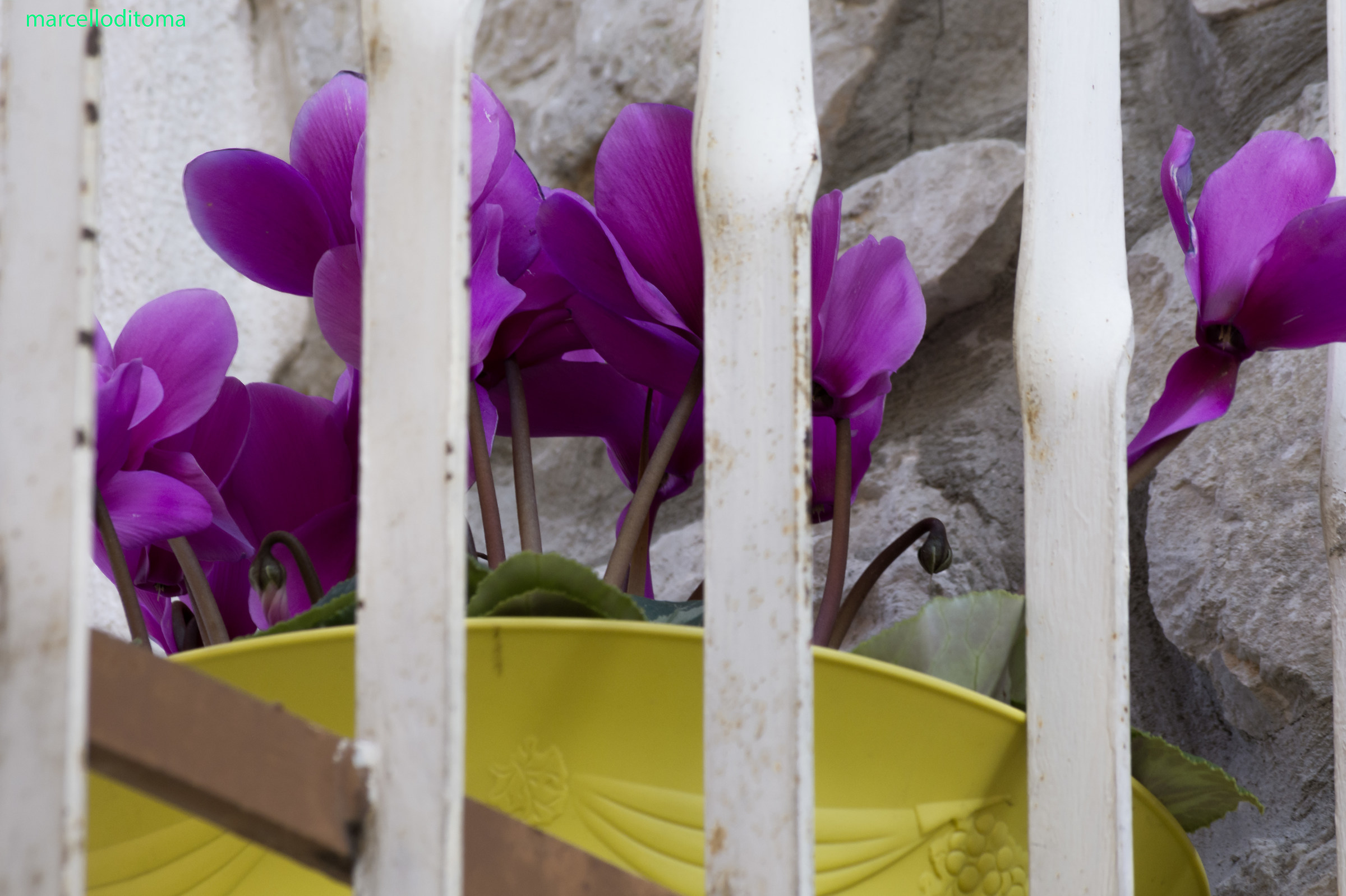 Please .. do you come out? ..