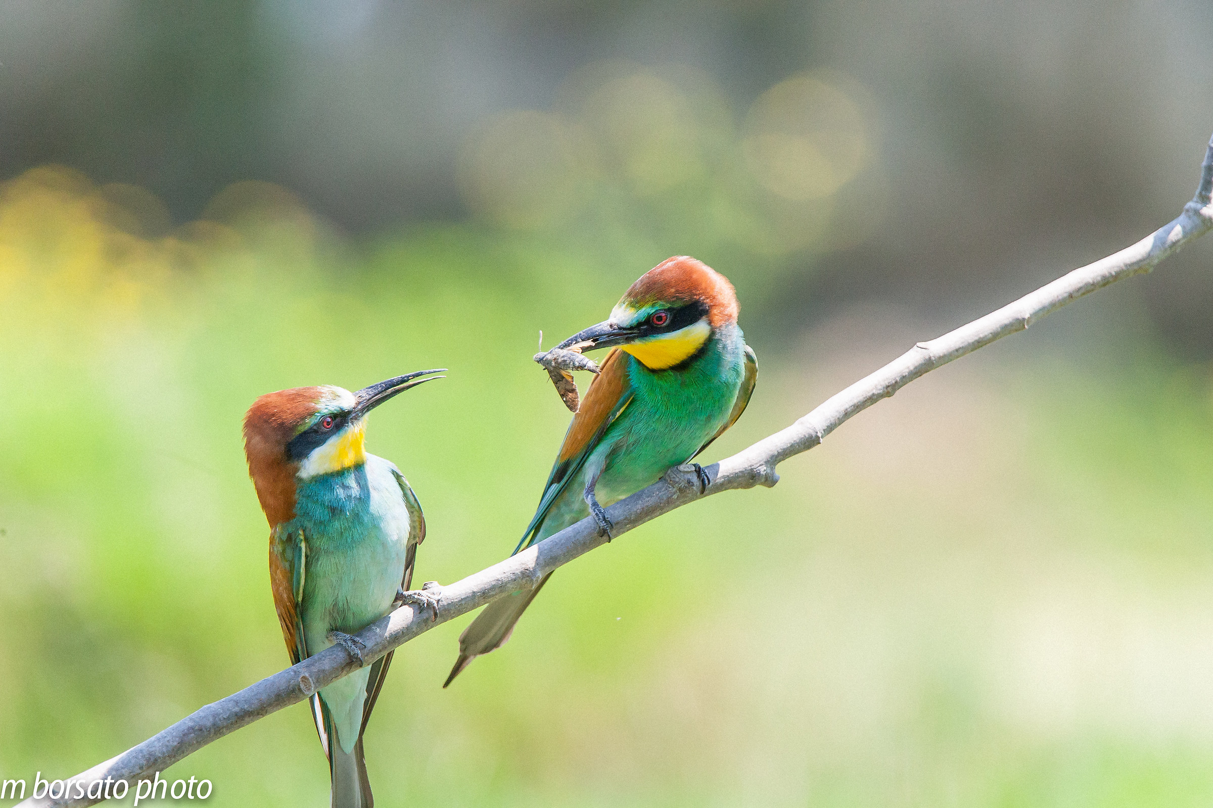 would you like to have some?