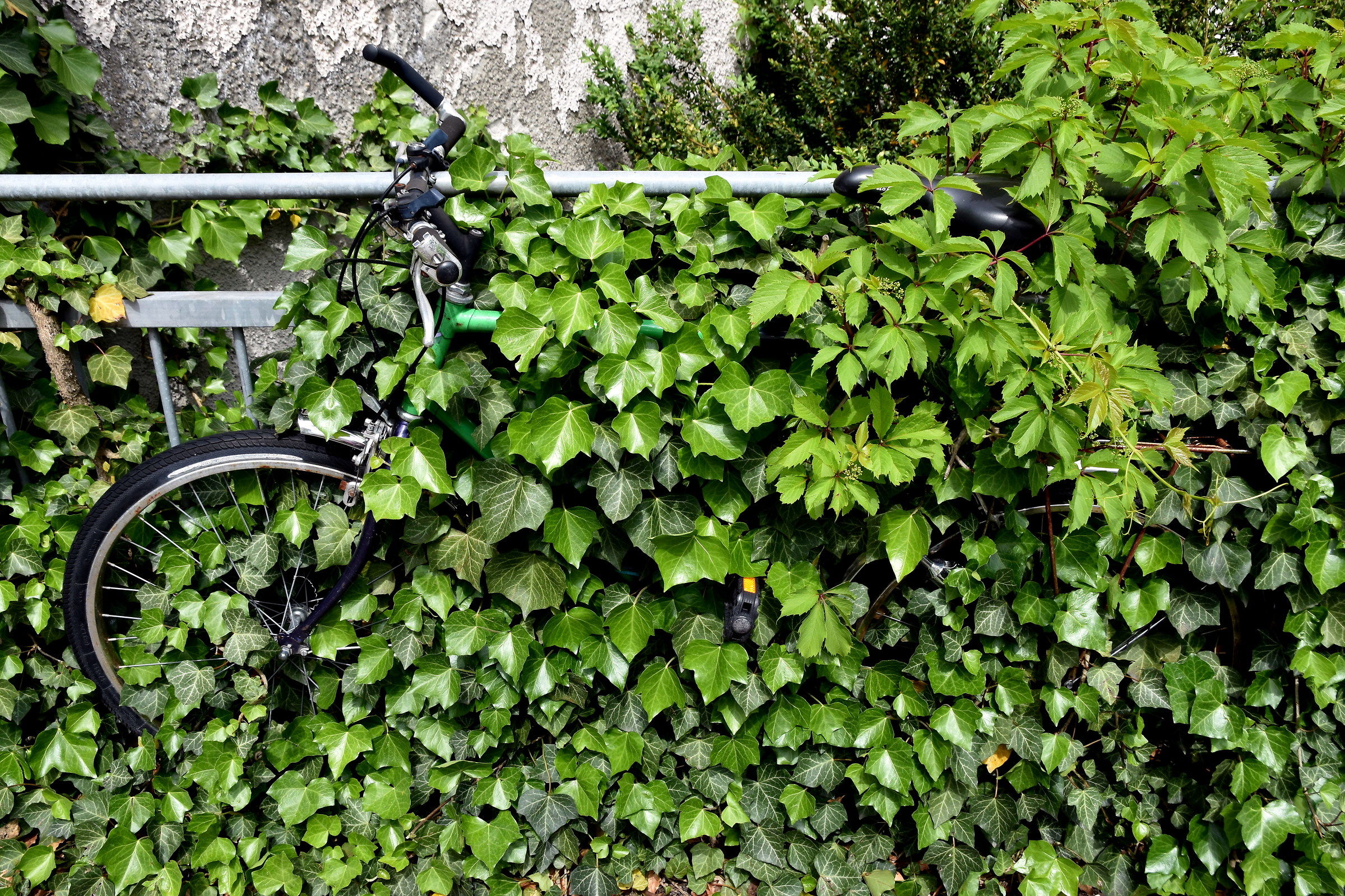 qualcuno l'ha dimenticata?