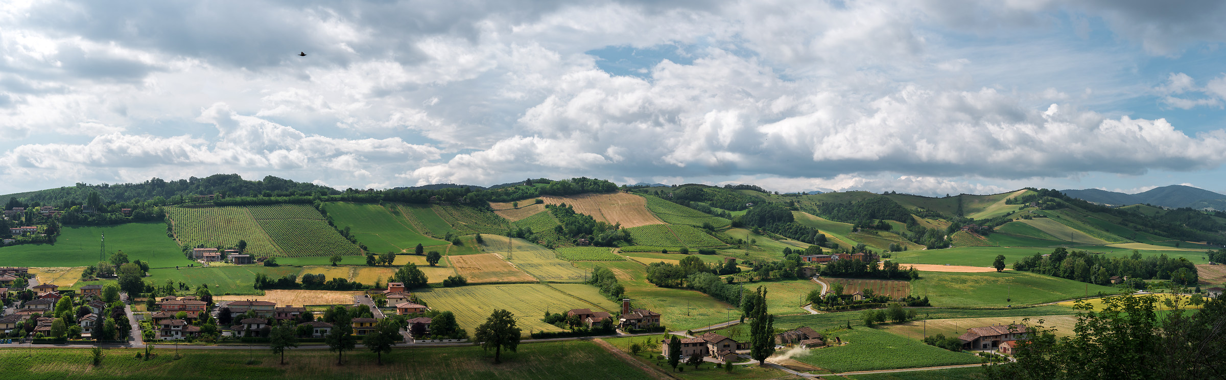 Panorama from Castell'Arquato