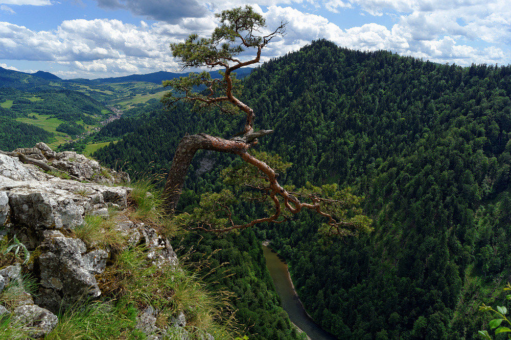 Pieniny