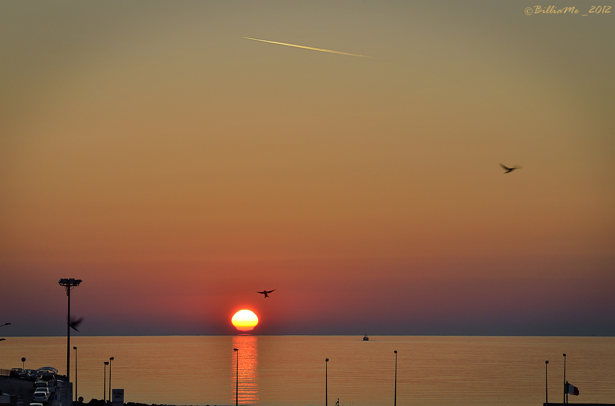 Alba, it's time to fish