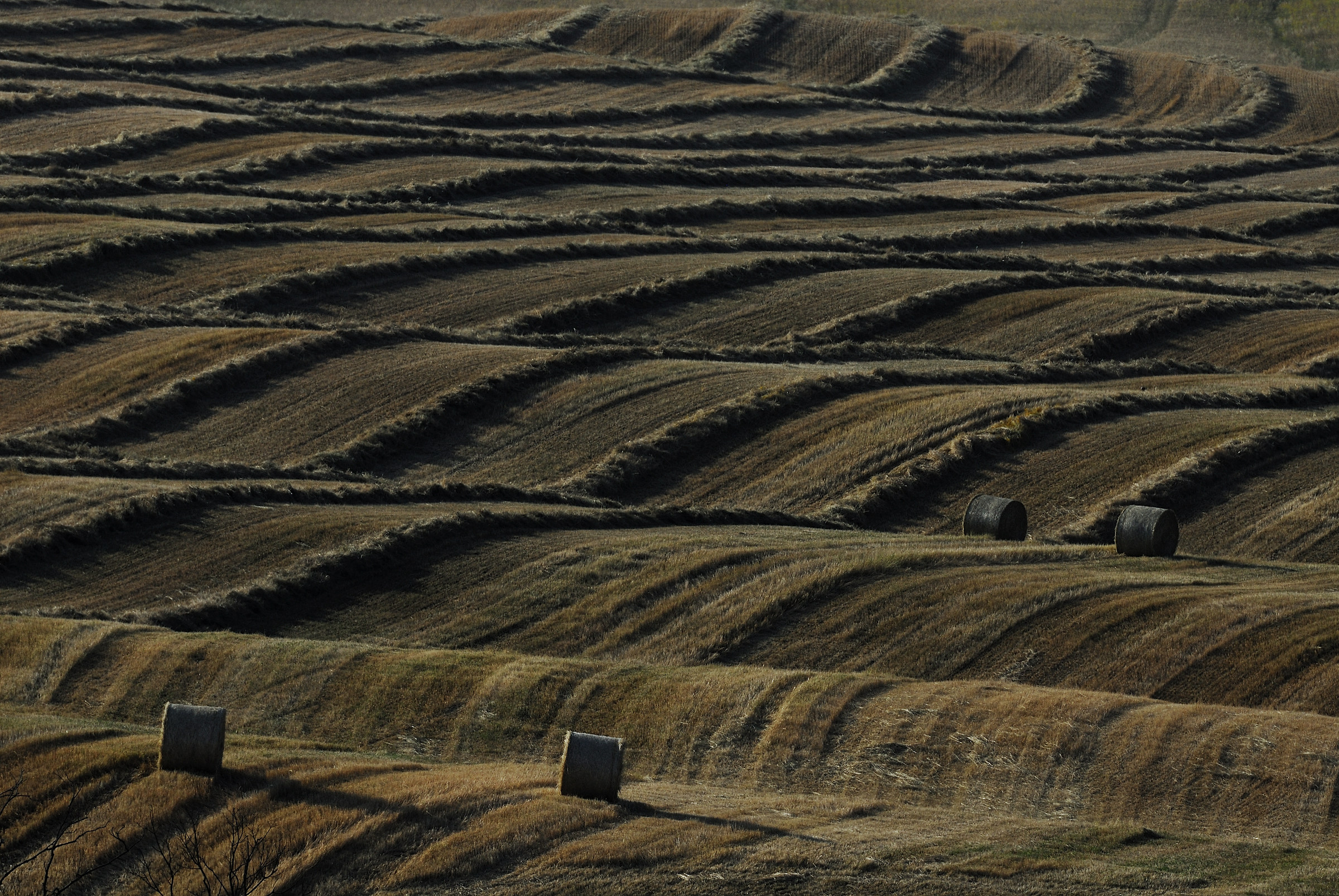 Crete Senesi 1
