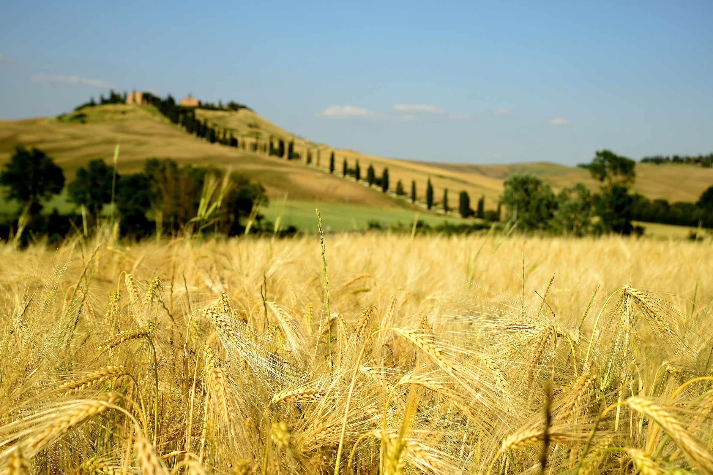 I Colori delle Crete