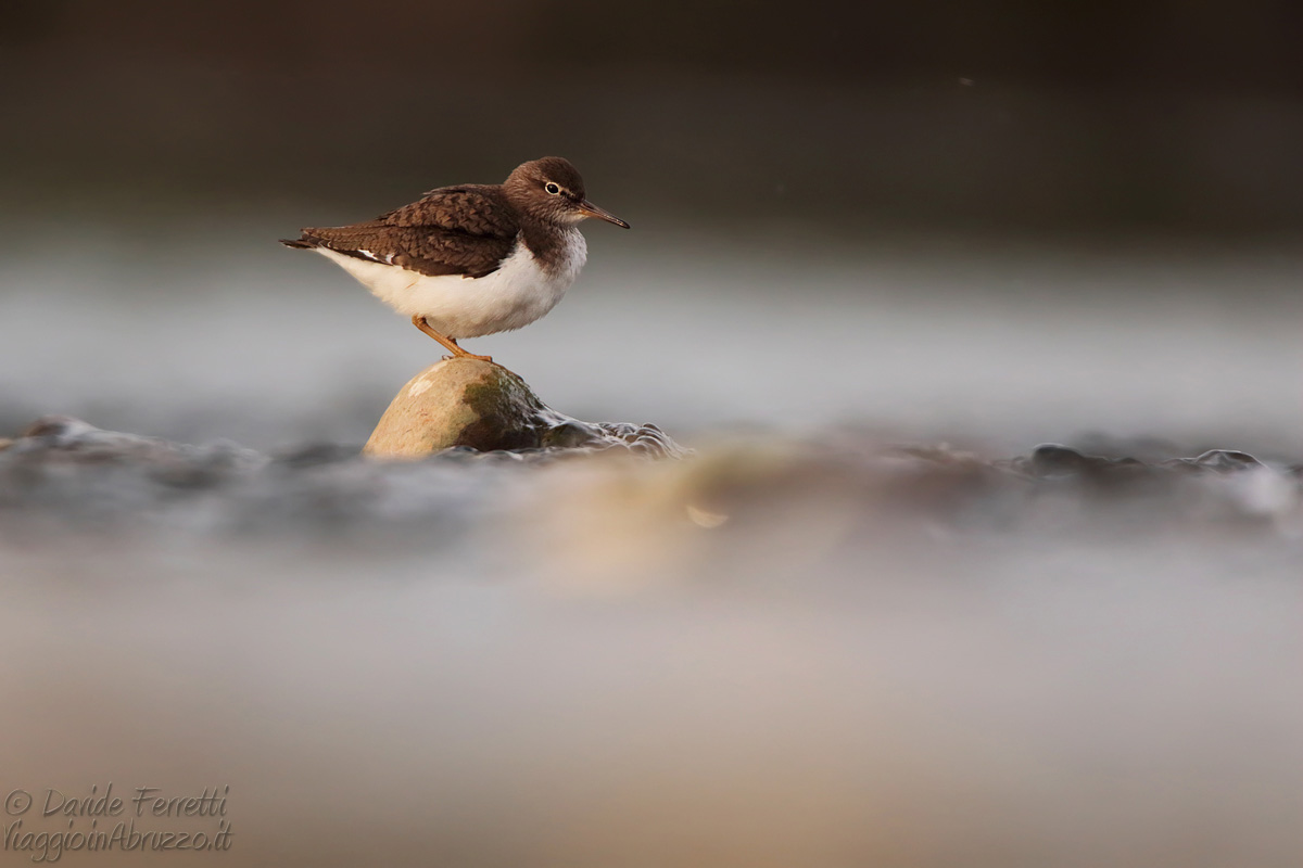 On an island in the sea