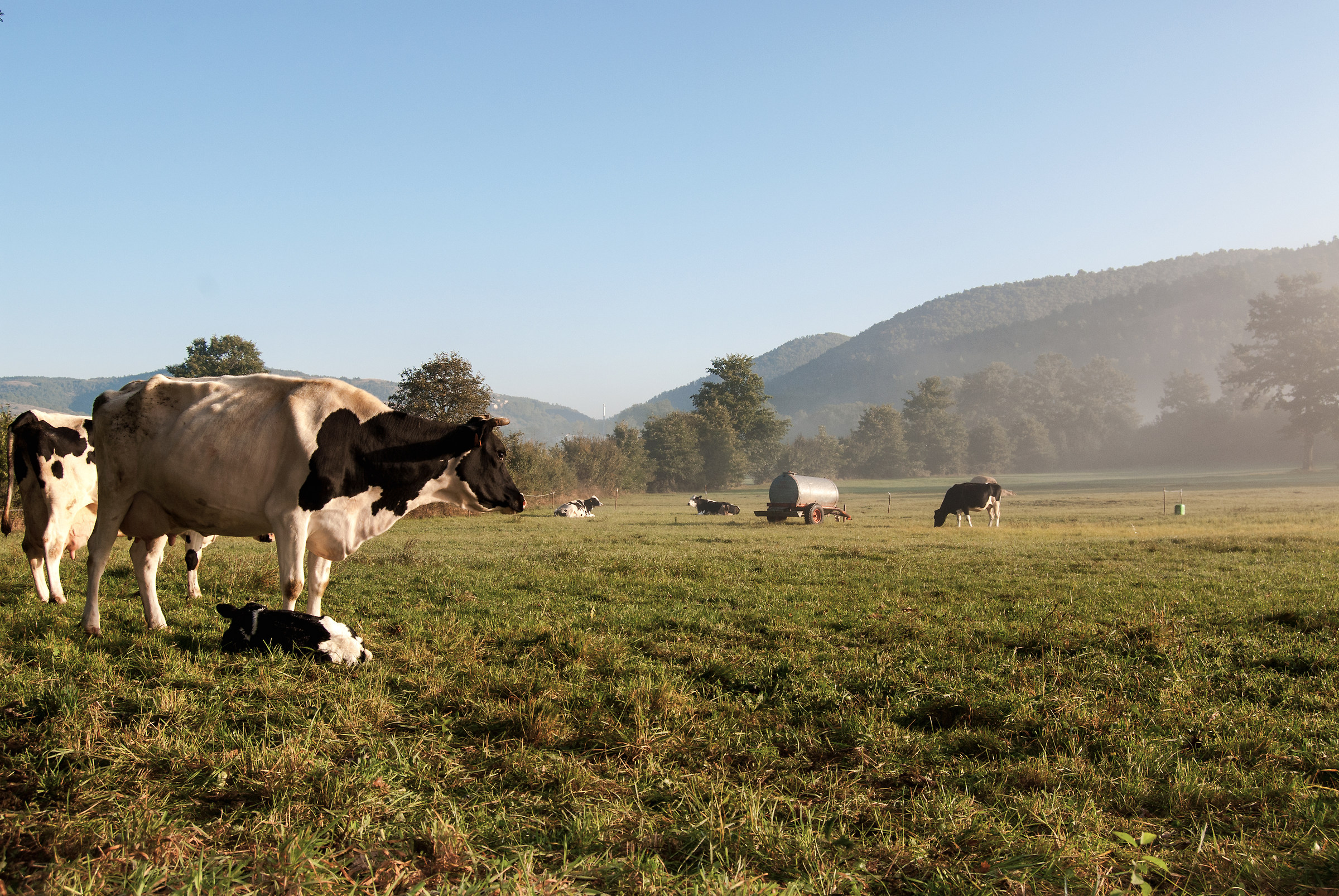 Sunset on a new born