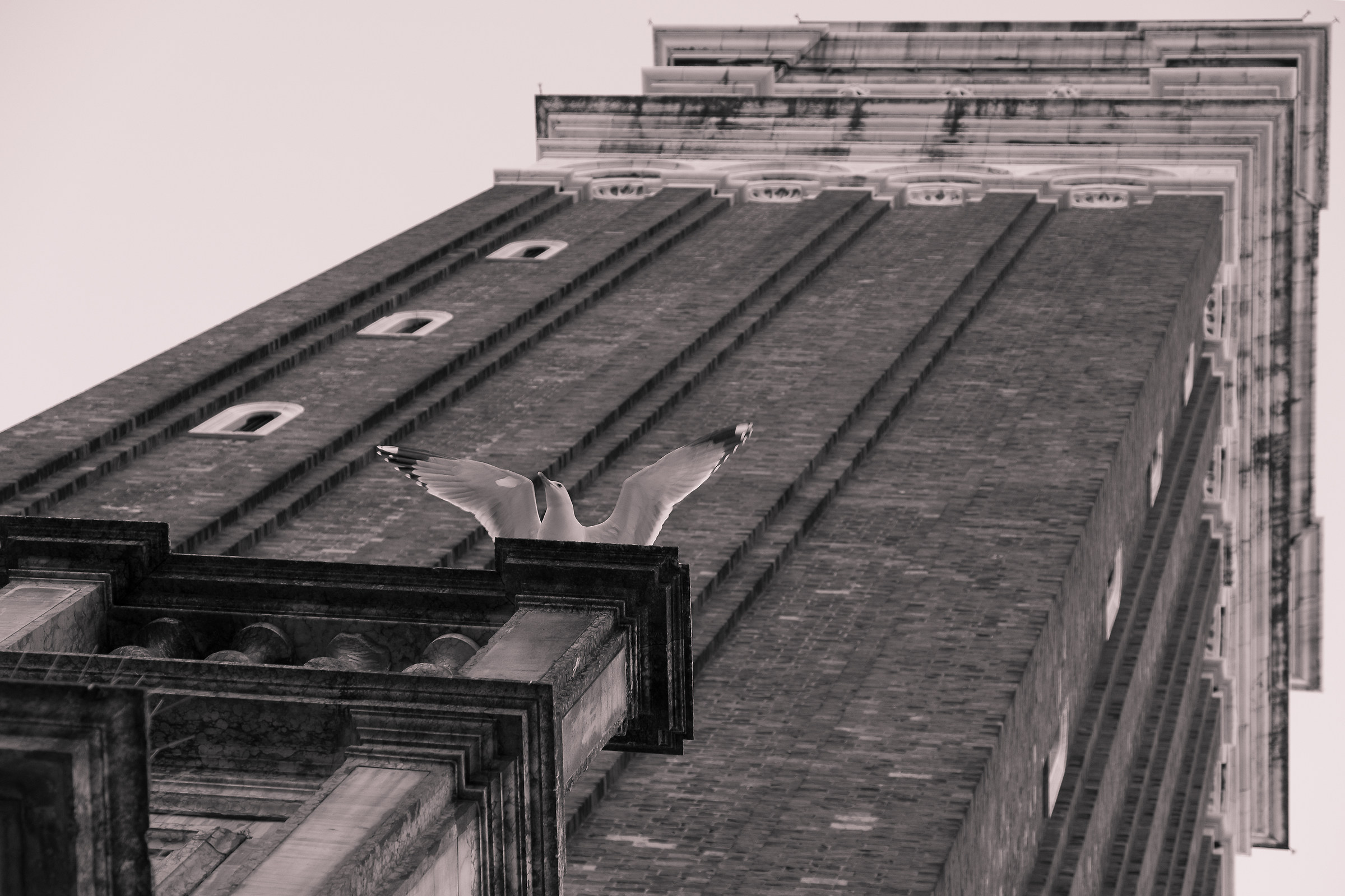 Campanile di San Marco - Venezia