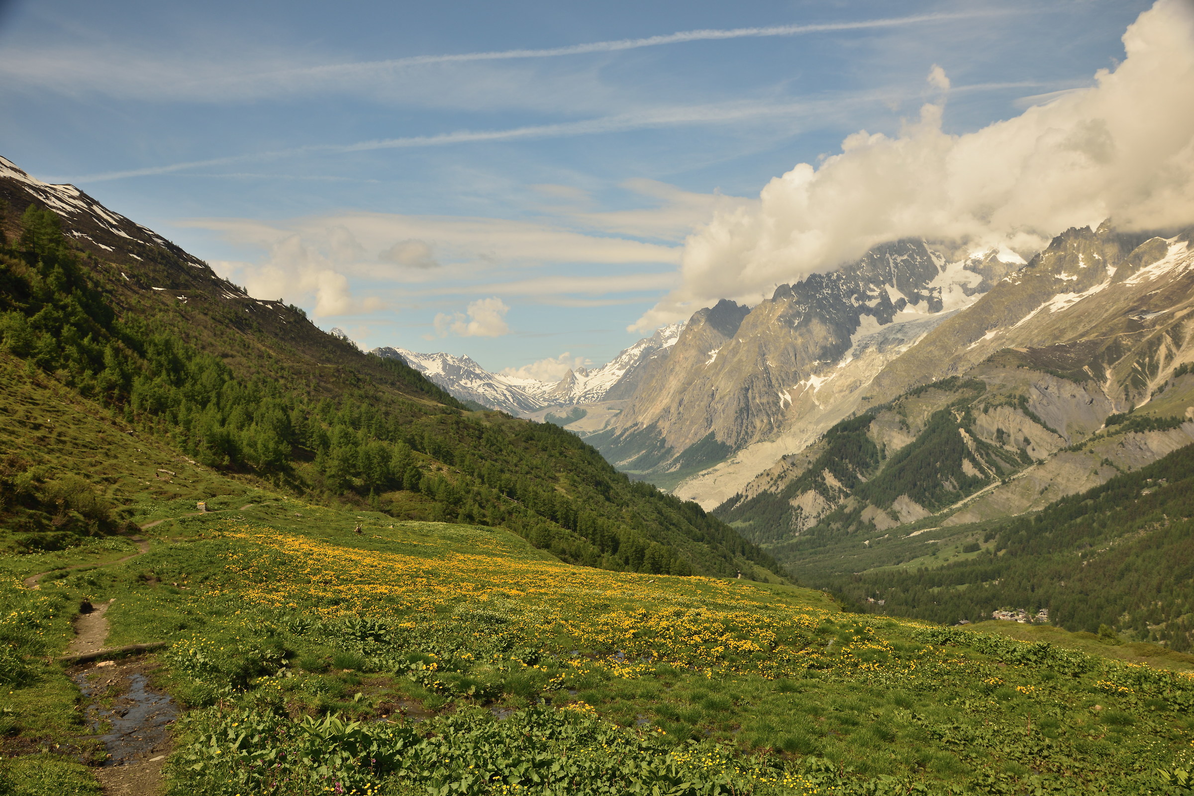 In the background the Col de la Seigne Val Veny