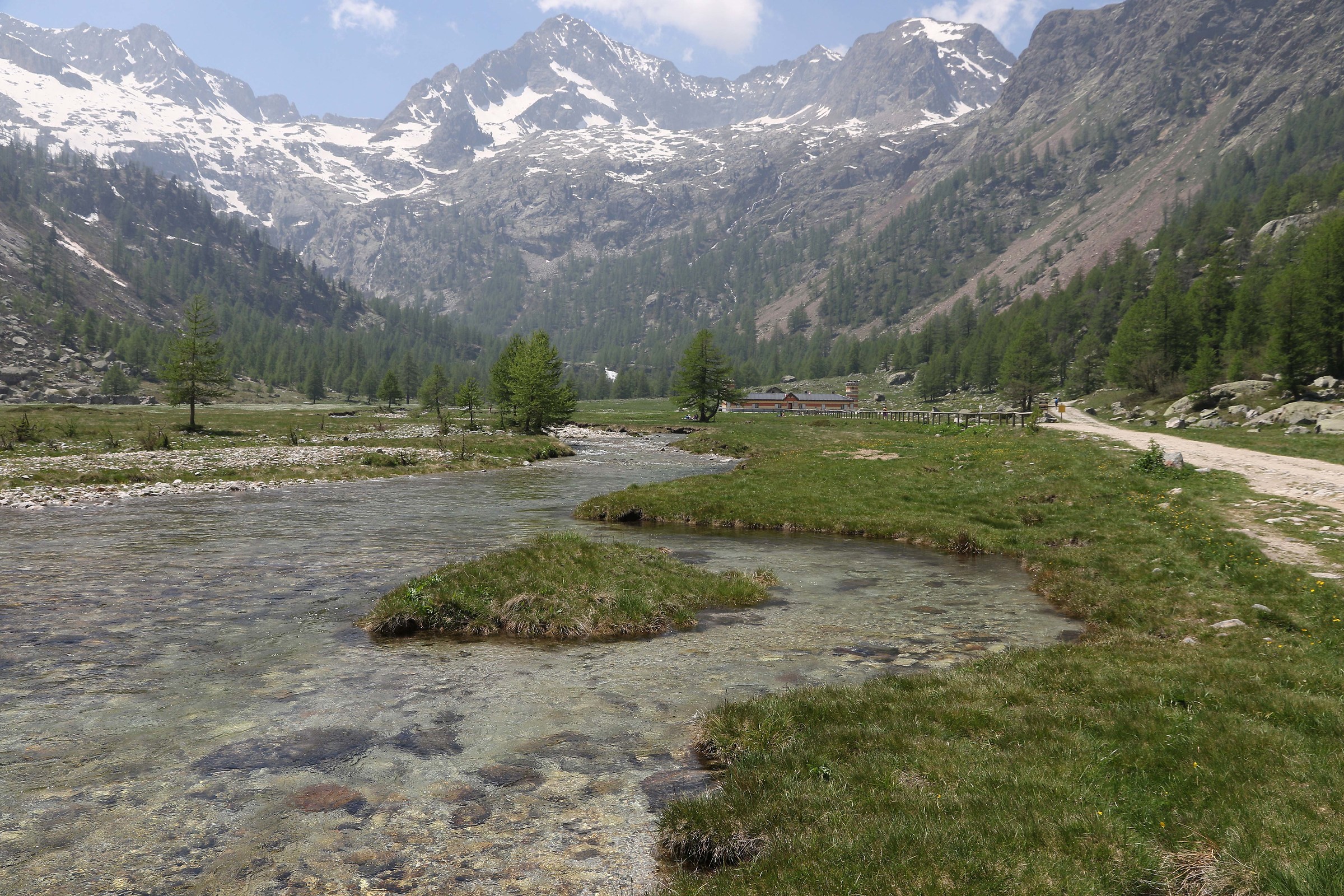 Soon of the valasco (cn)