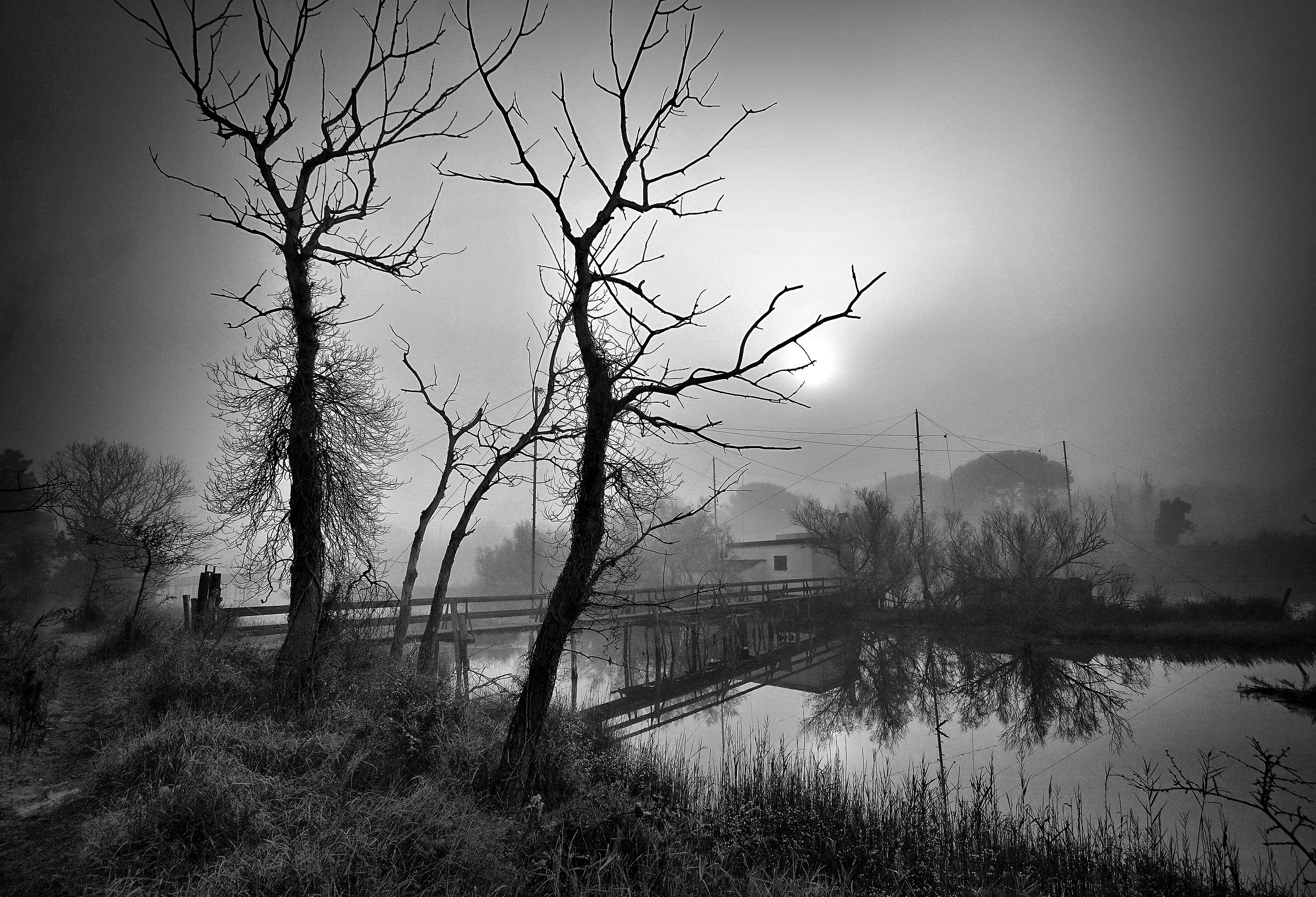 Floor plan sharpens the fog.