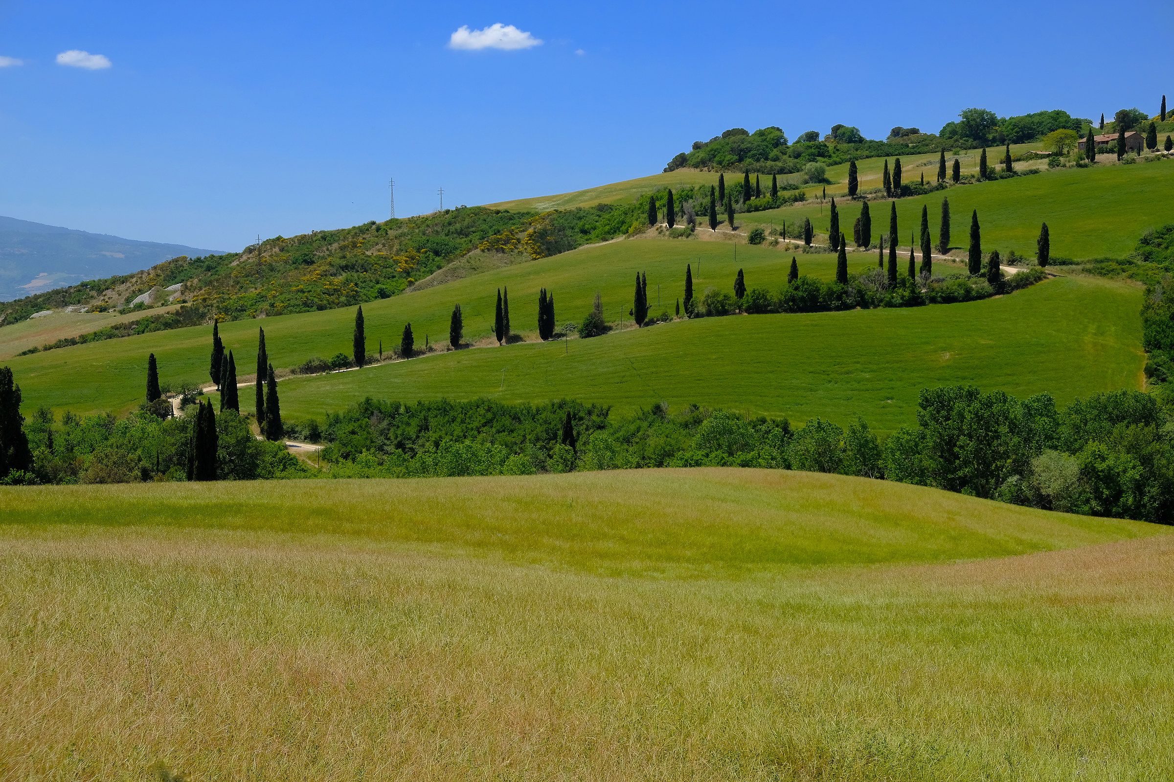 Senesi hills