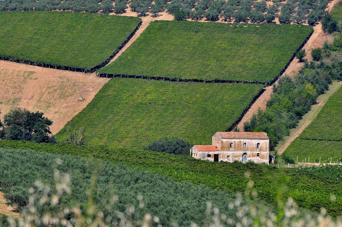 A Volta, the center of gravity