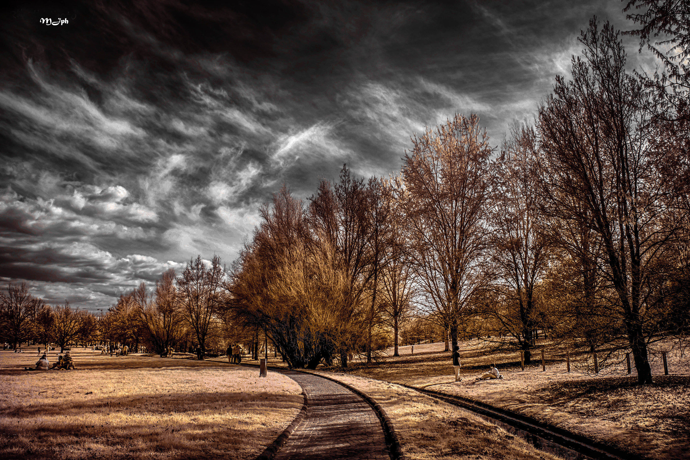 Infradark parco urbano Forli