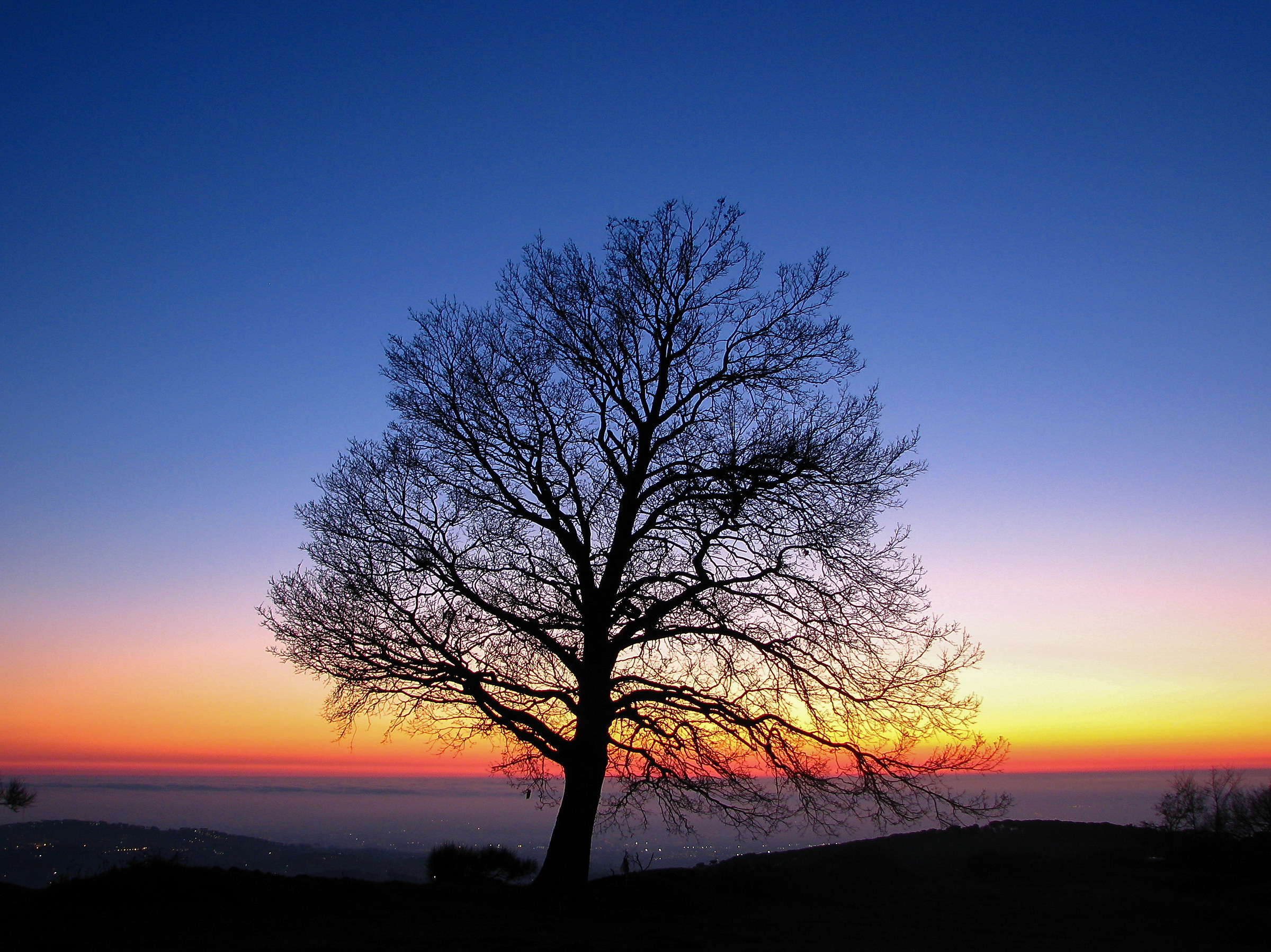 Un tramonto, all'improvviso