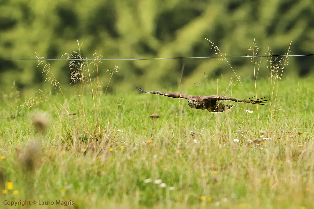 Switching to low altitude