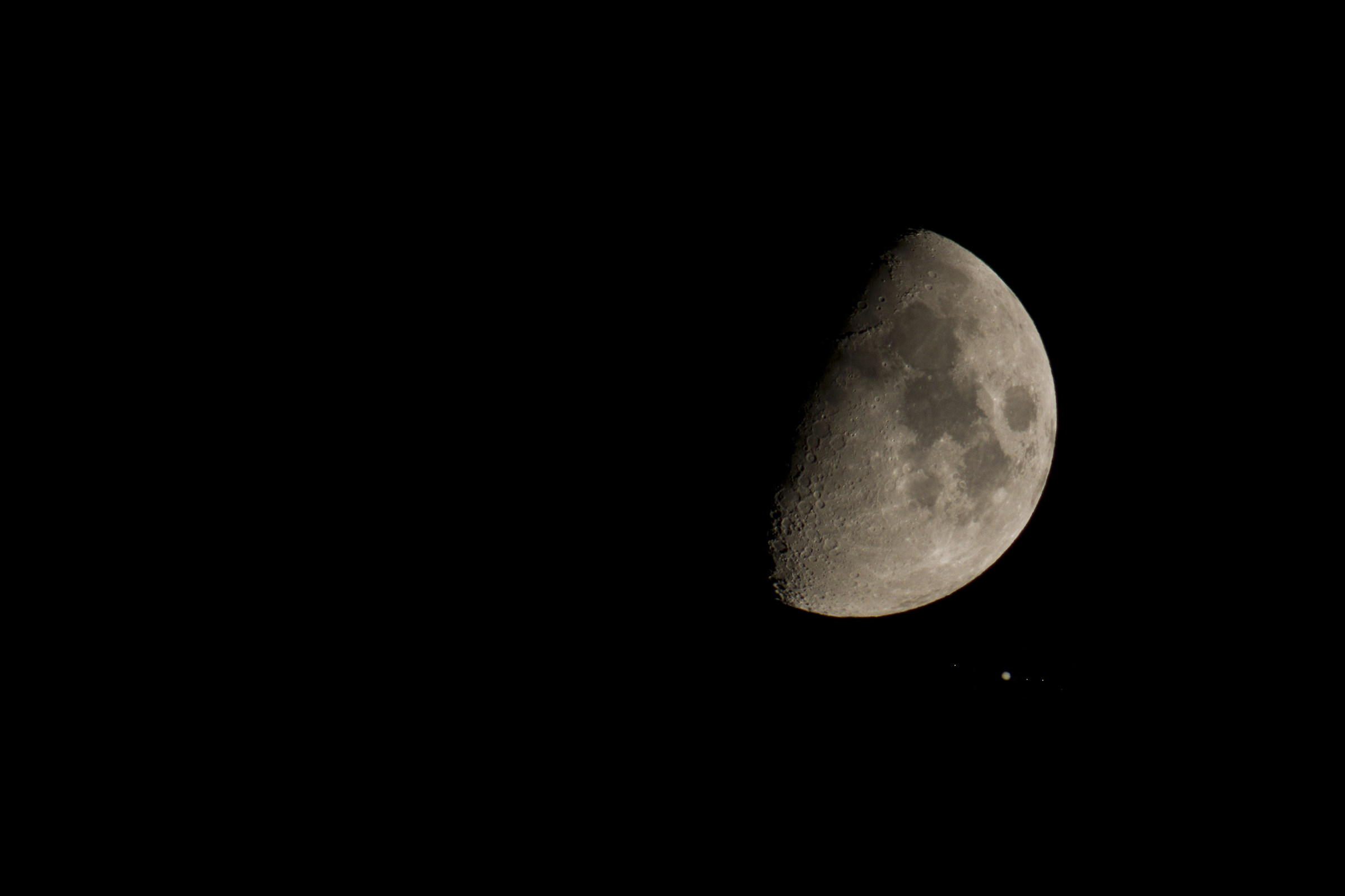 Giant and Butterfly with insects
