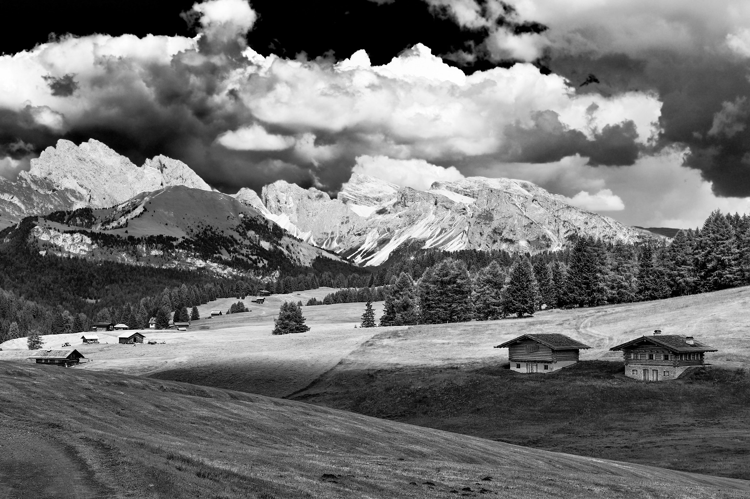 Dolomiti:Altopiano di Siusi con il Sassolungo