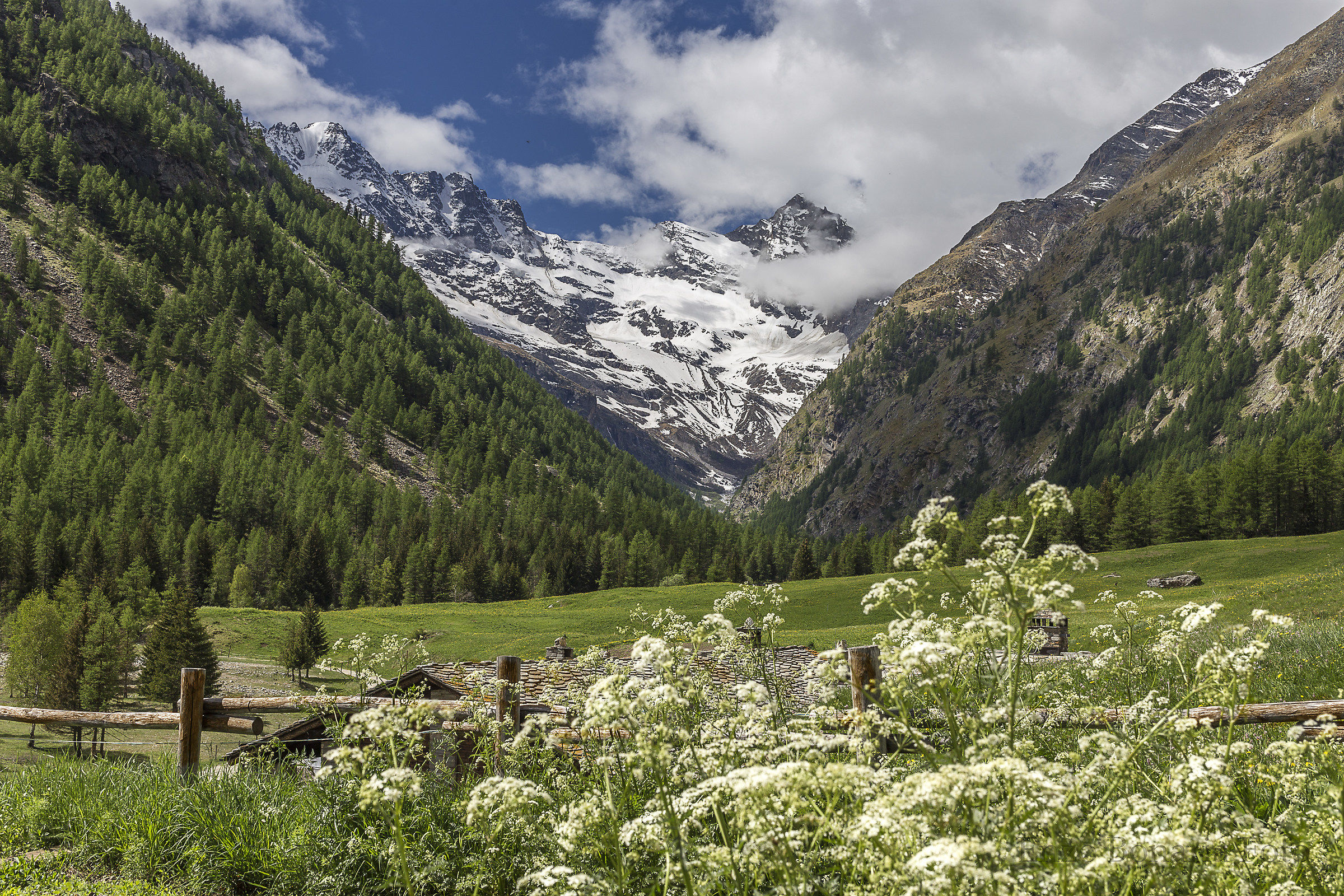 Cogne parco gran paradiso