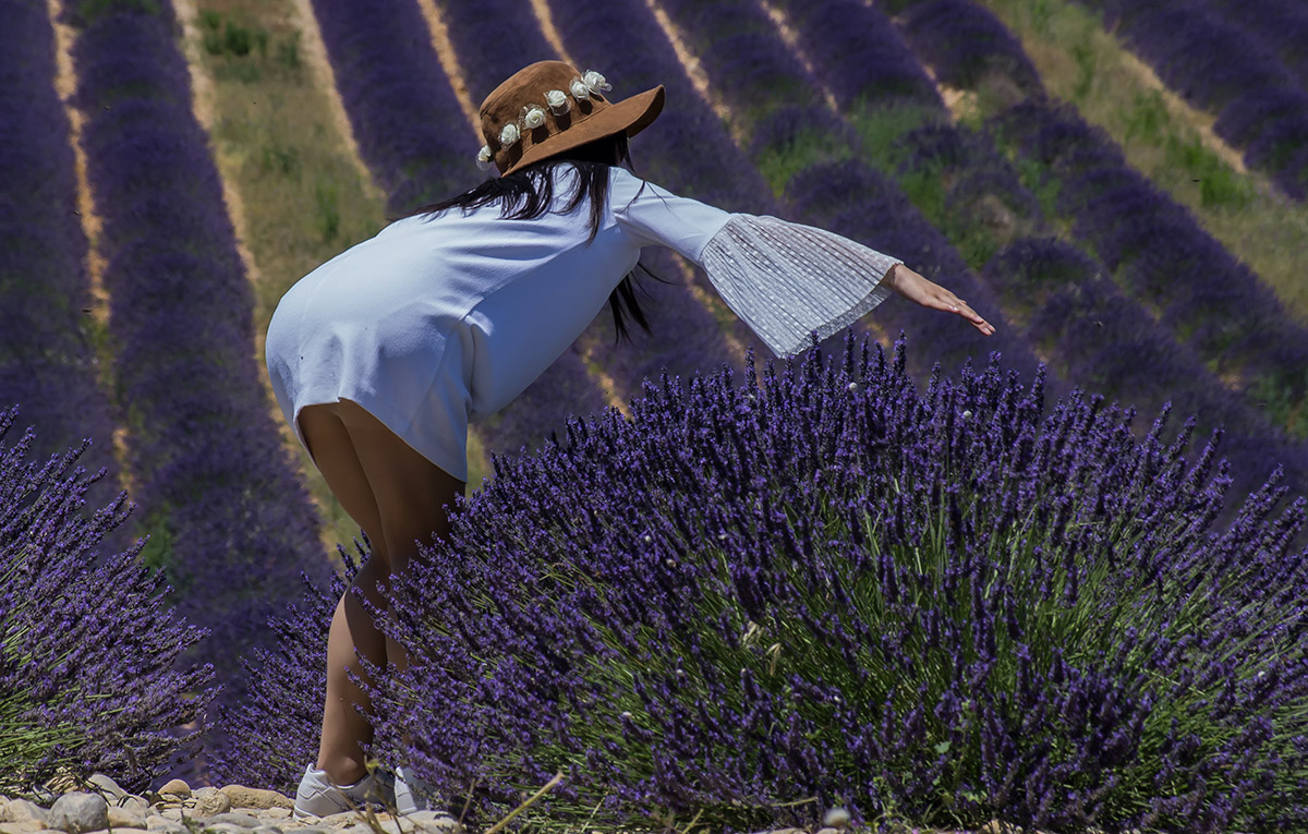Purple China Girl Back