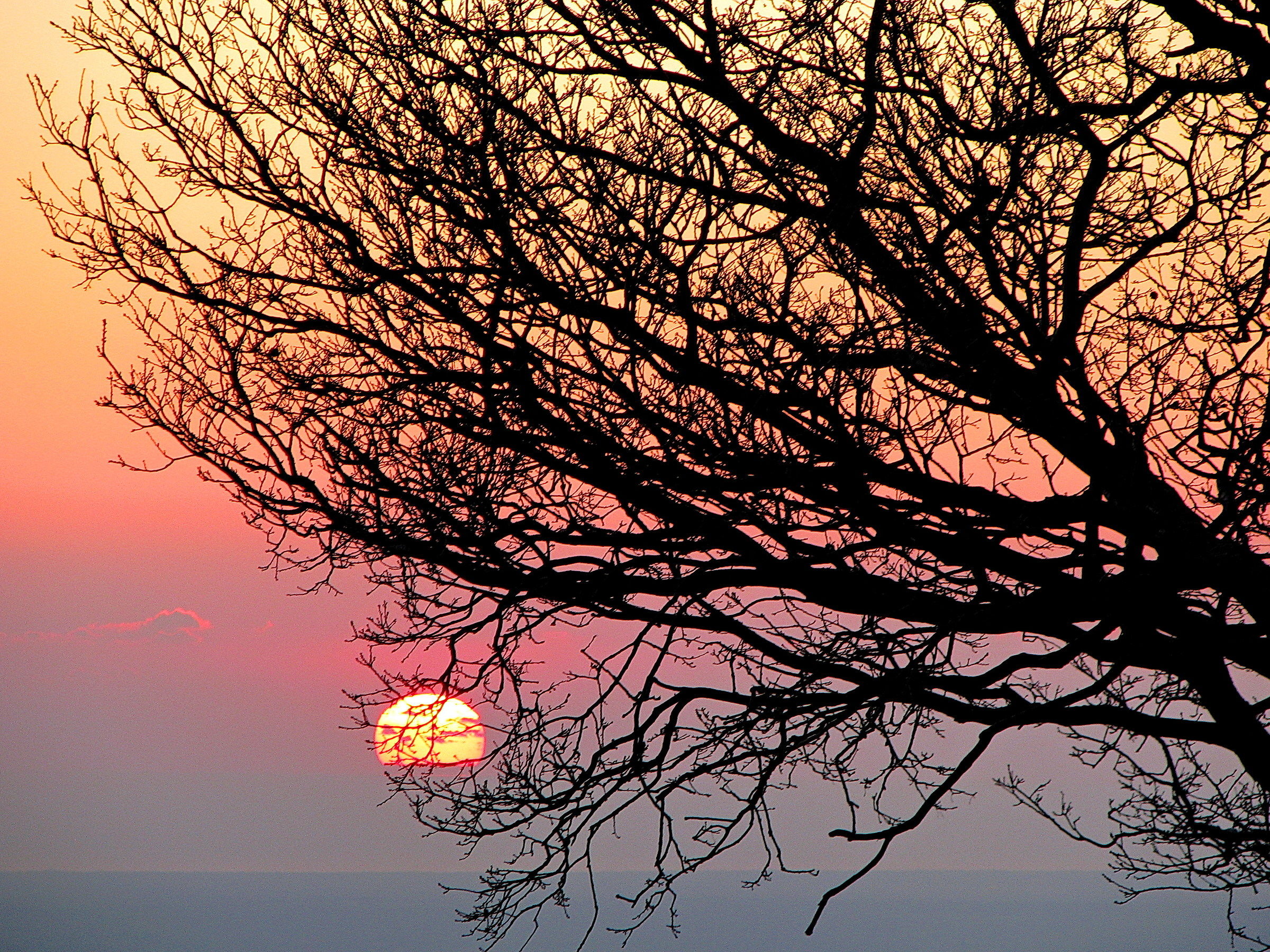 Antitesi dell'alba  (8 lettere)