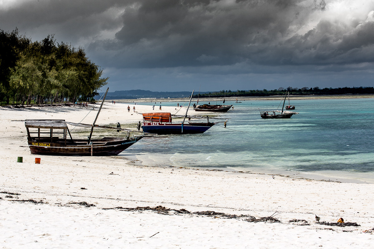 When summer rages between sun and storm.